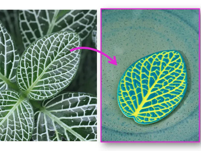 Real Leaf Structur Model