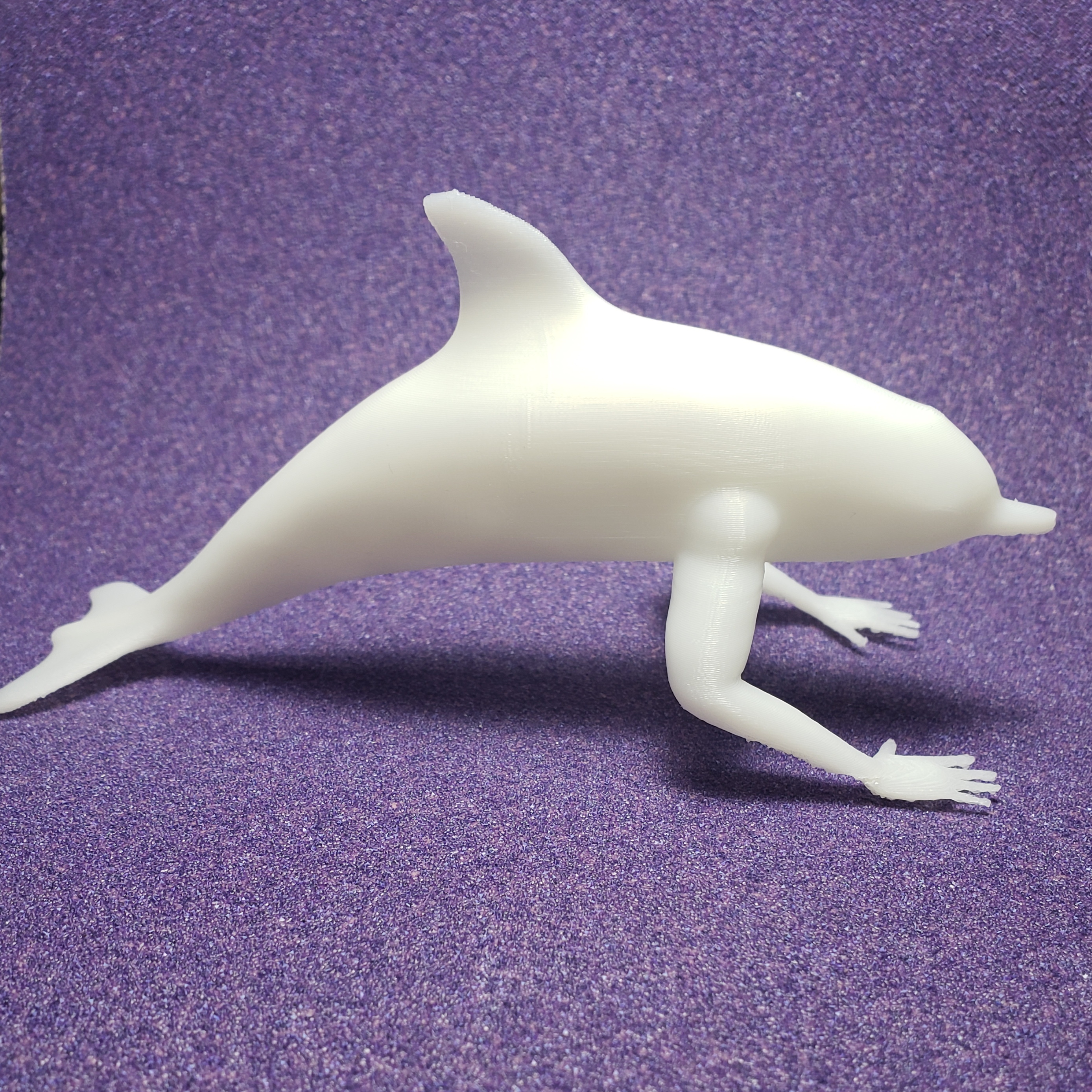 Creepin Dolphin