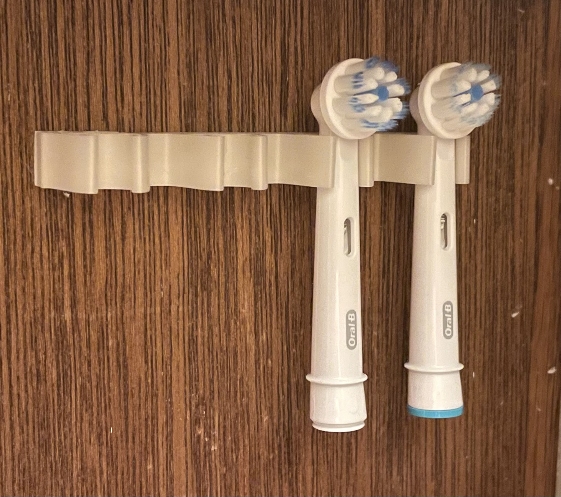 OralB Brush Head Holder by Omar Download free STL model