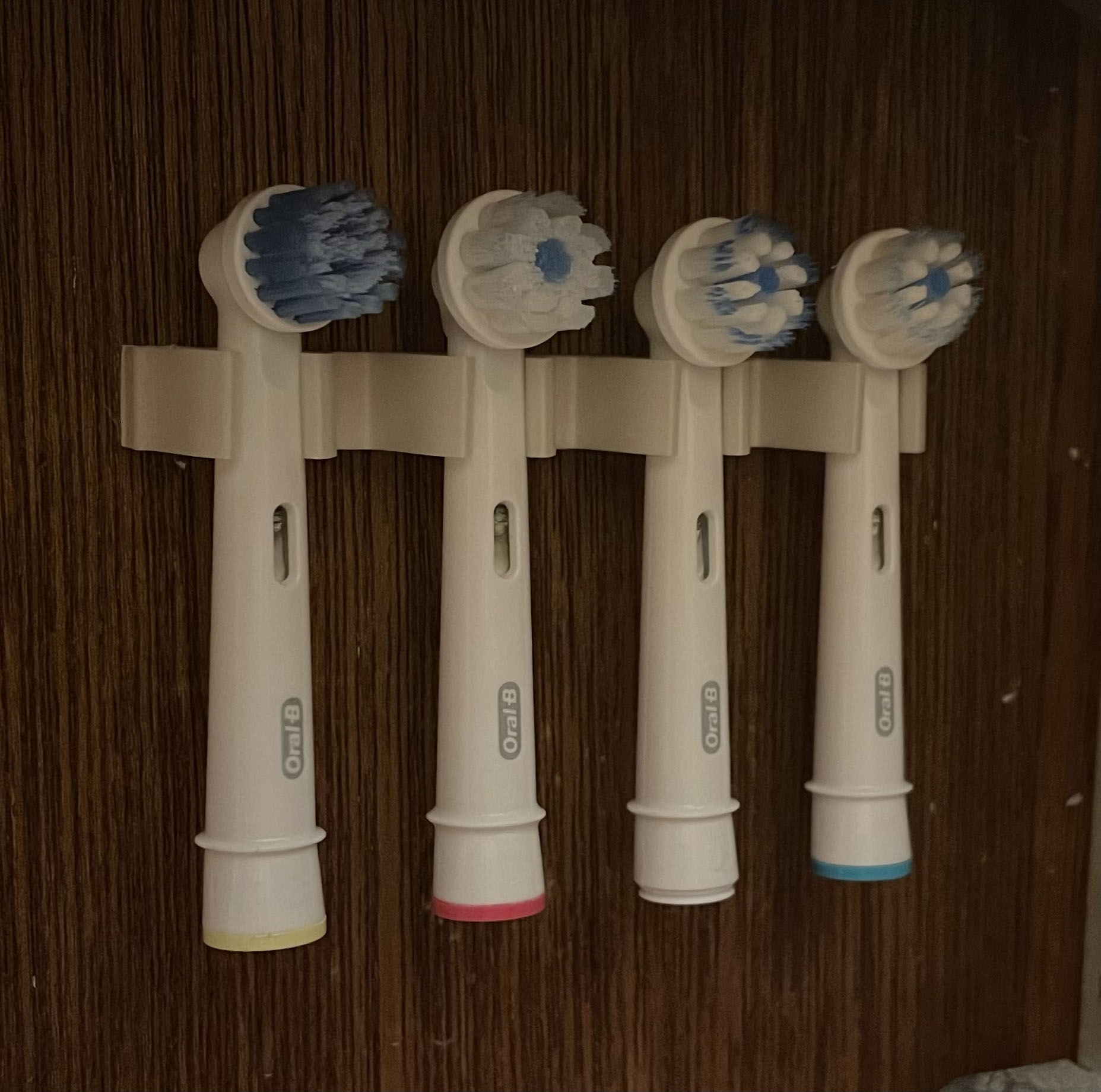 OralB Brush Head Holder by Omar Download free STL model