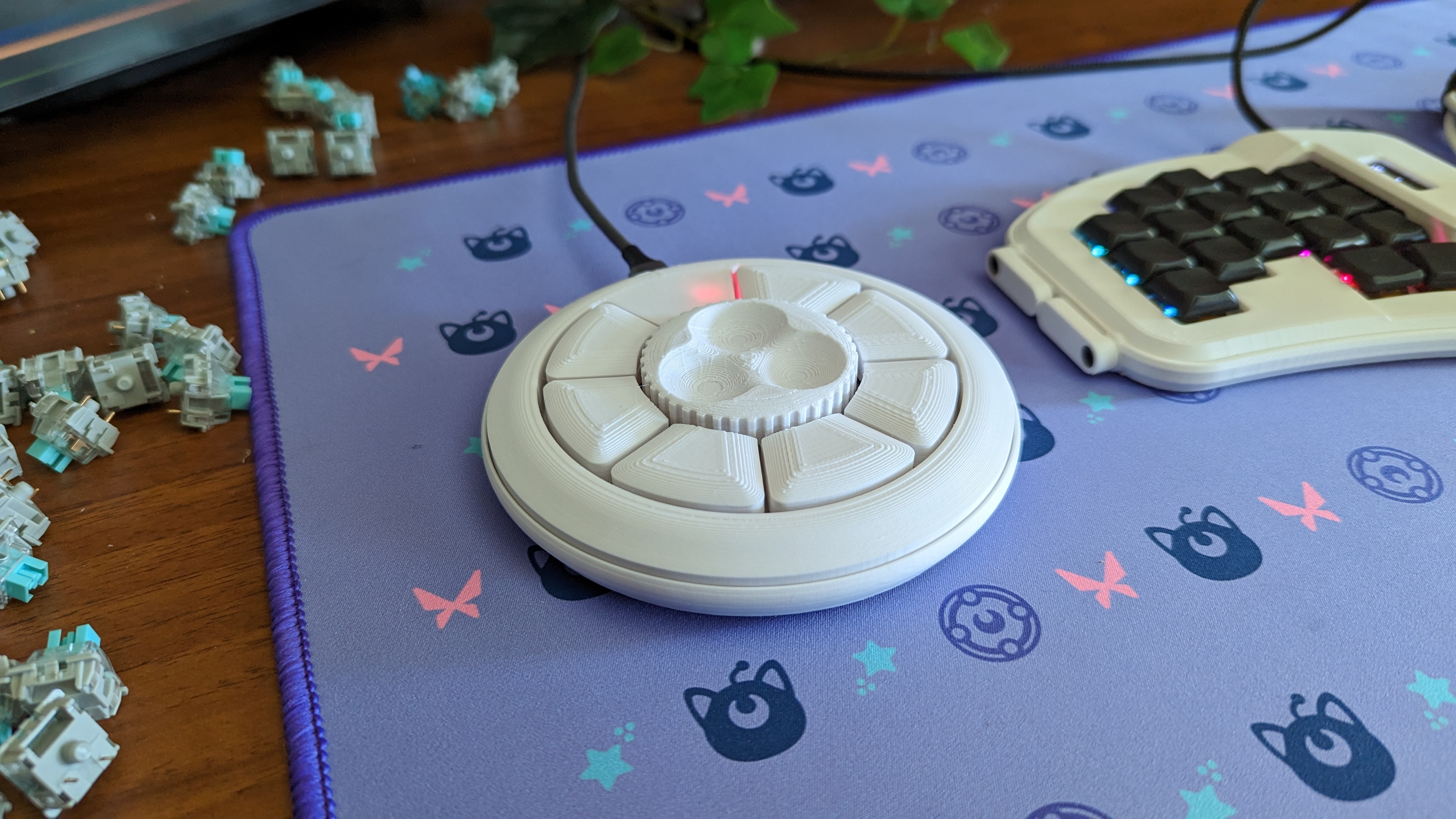 Circle Case for Sunflower by testamatta