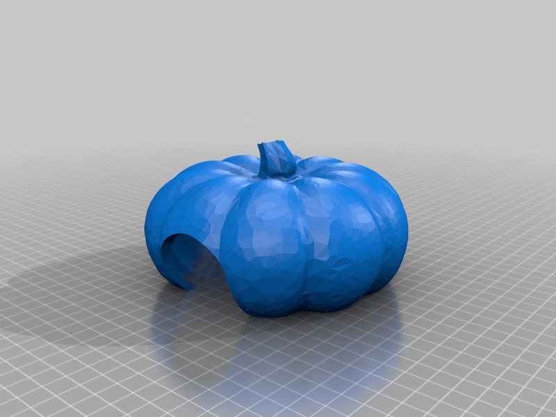 Snake Hide Pumpkin