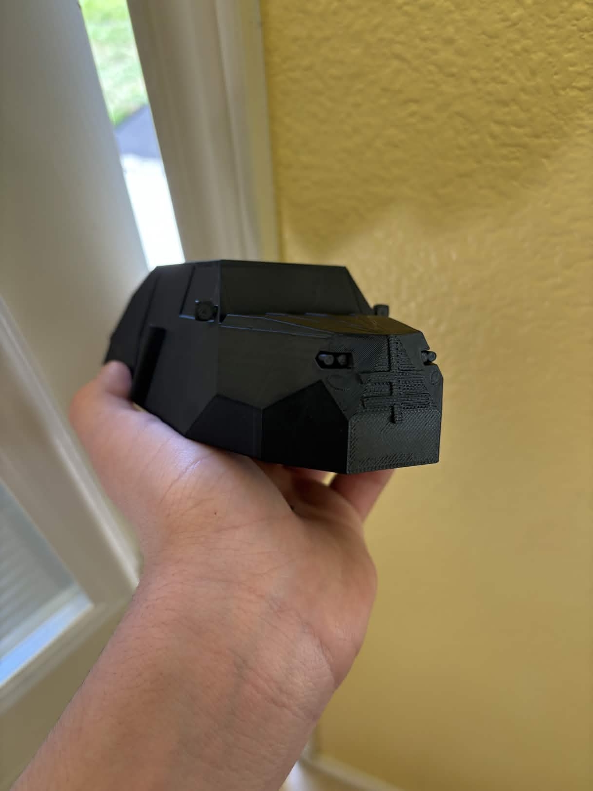 Armadillo interceptor