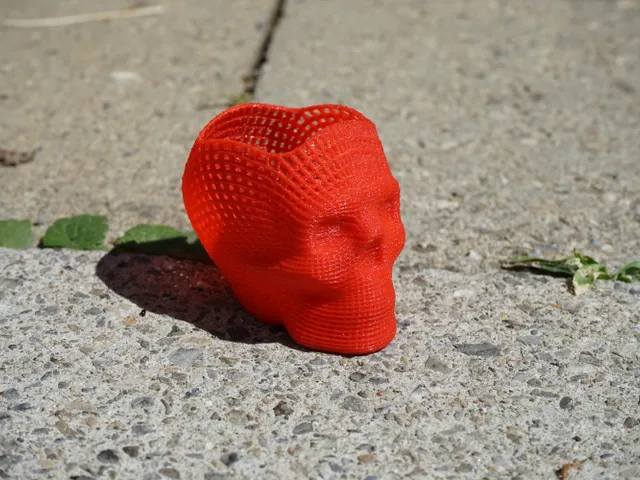 Wireframe skull