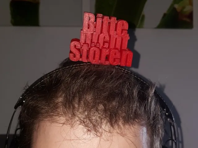 Bitte nicht Stören schild für Sennheiser Momentum 2 Kopfhörer - Do not Disturb