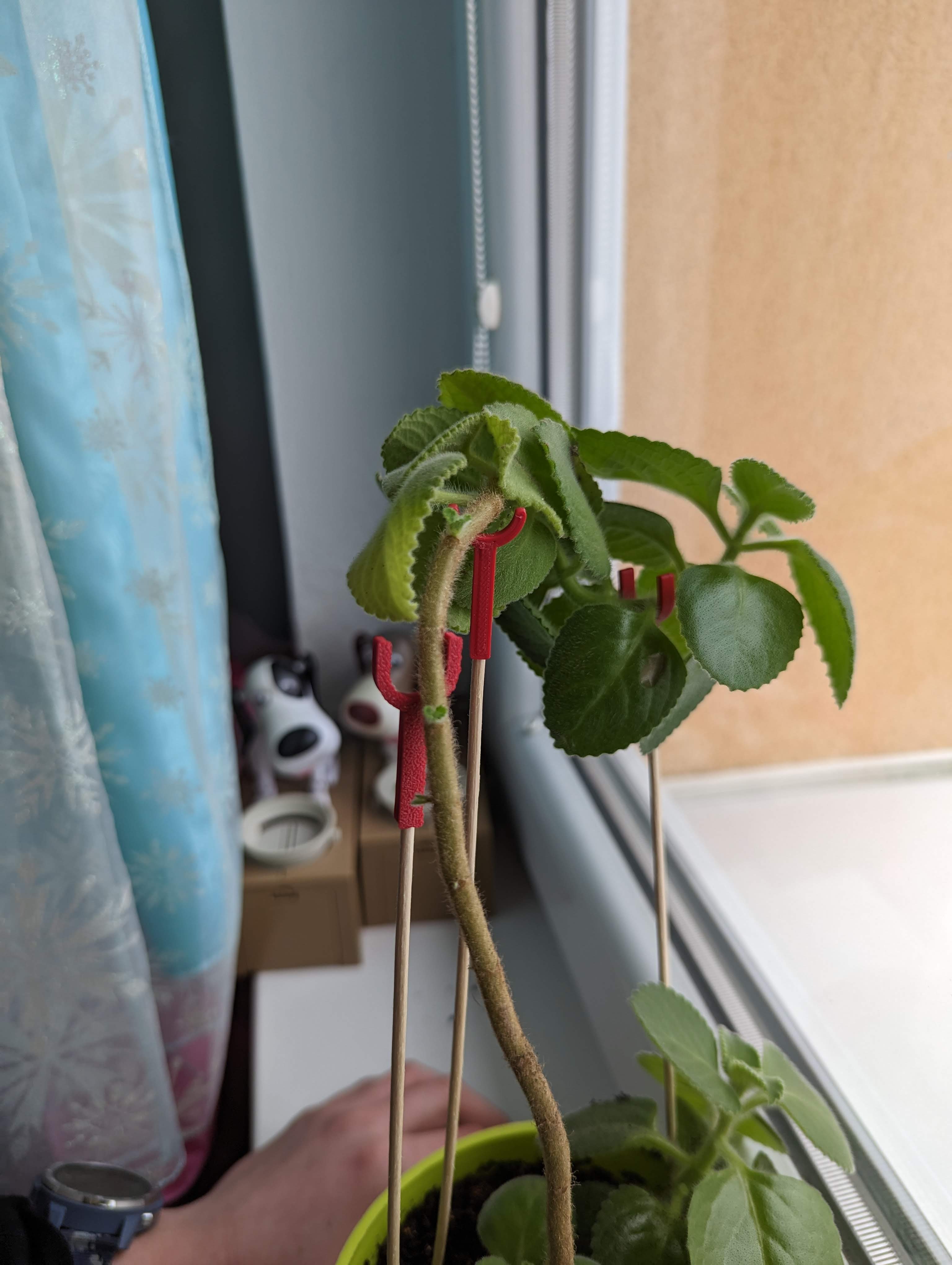 Support for flowers