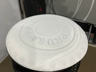Prusa Printables Flying Disc by Tom Anderson (The Real NEO) | Download ...