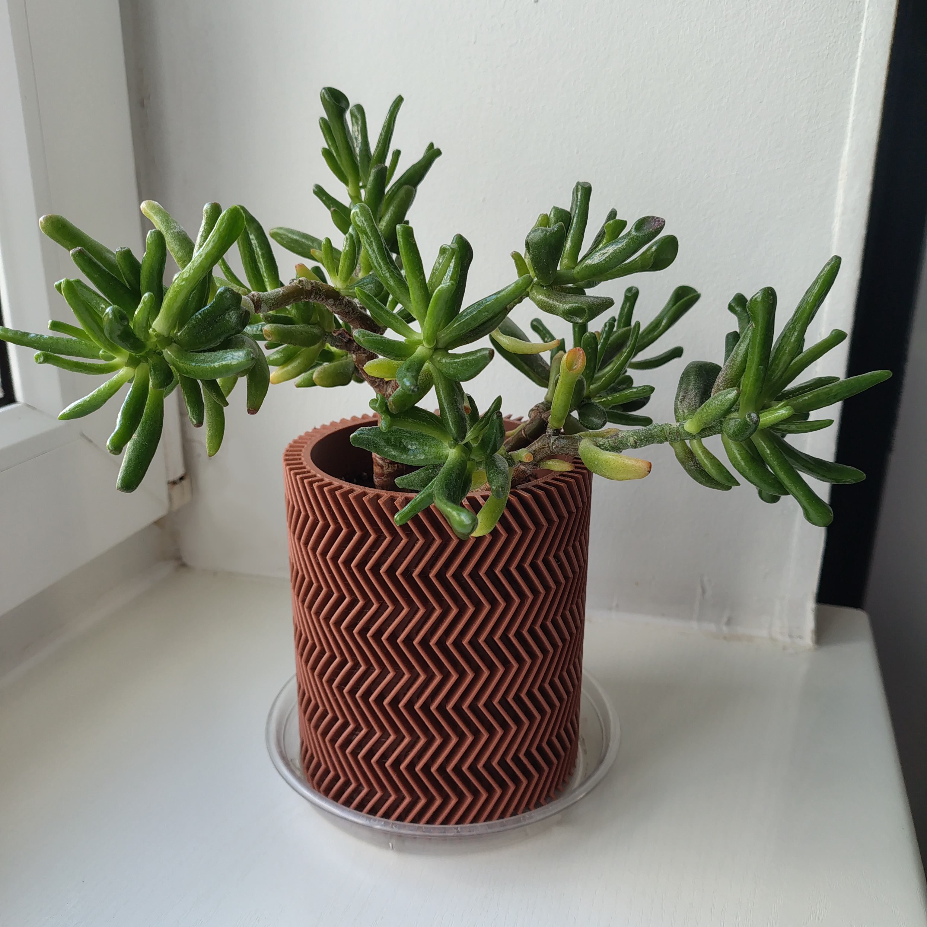 Zig-zag planter