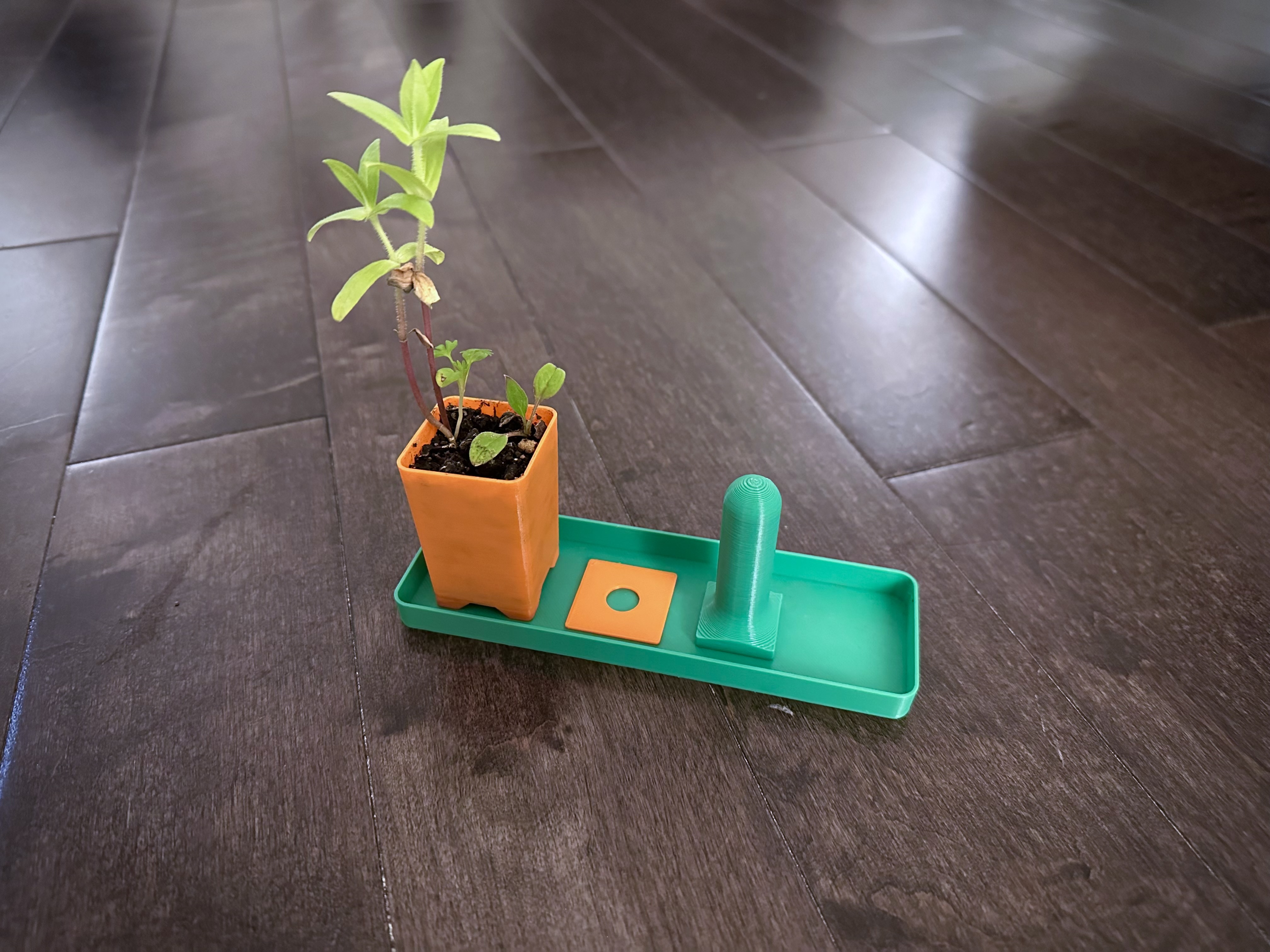 Germination Cell / Micro Pot