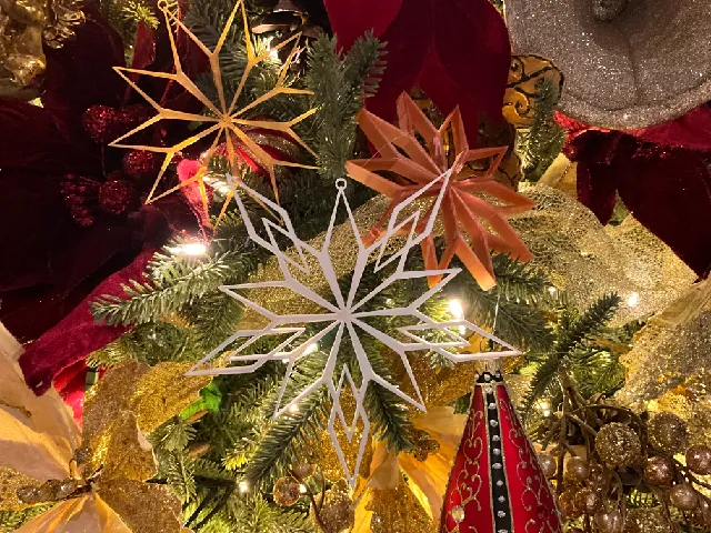 Geometric Snowflake