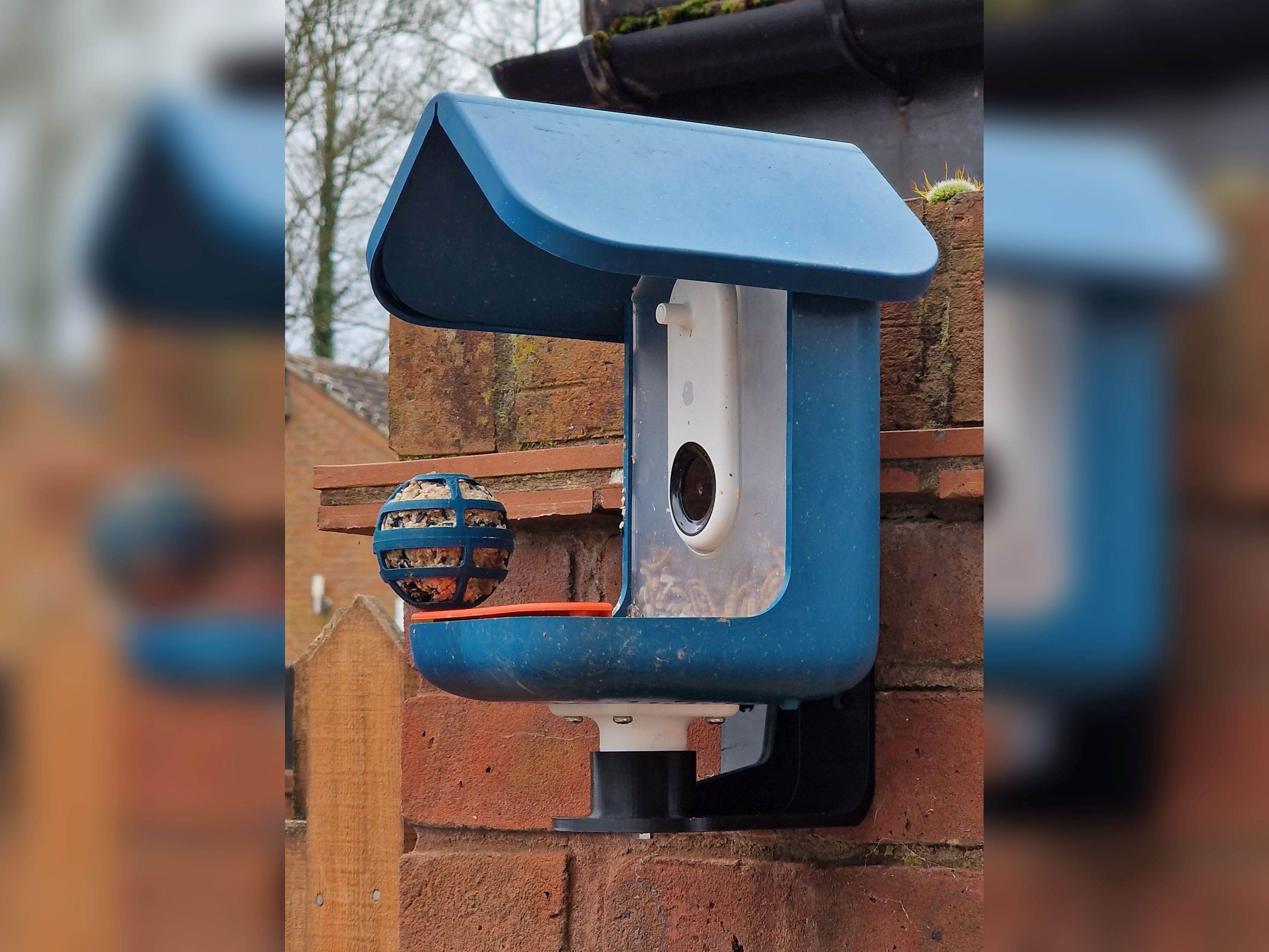 Bird Buddy Wall Mount Bracket