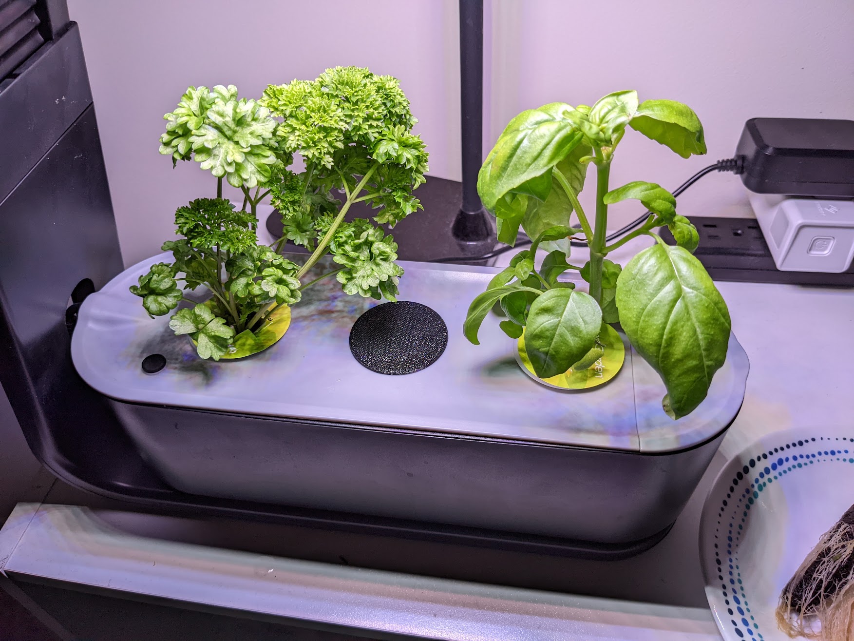 Aerogarden Plug