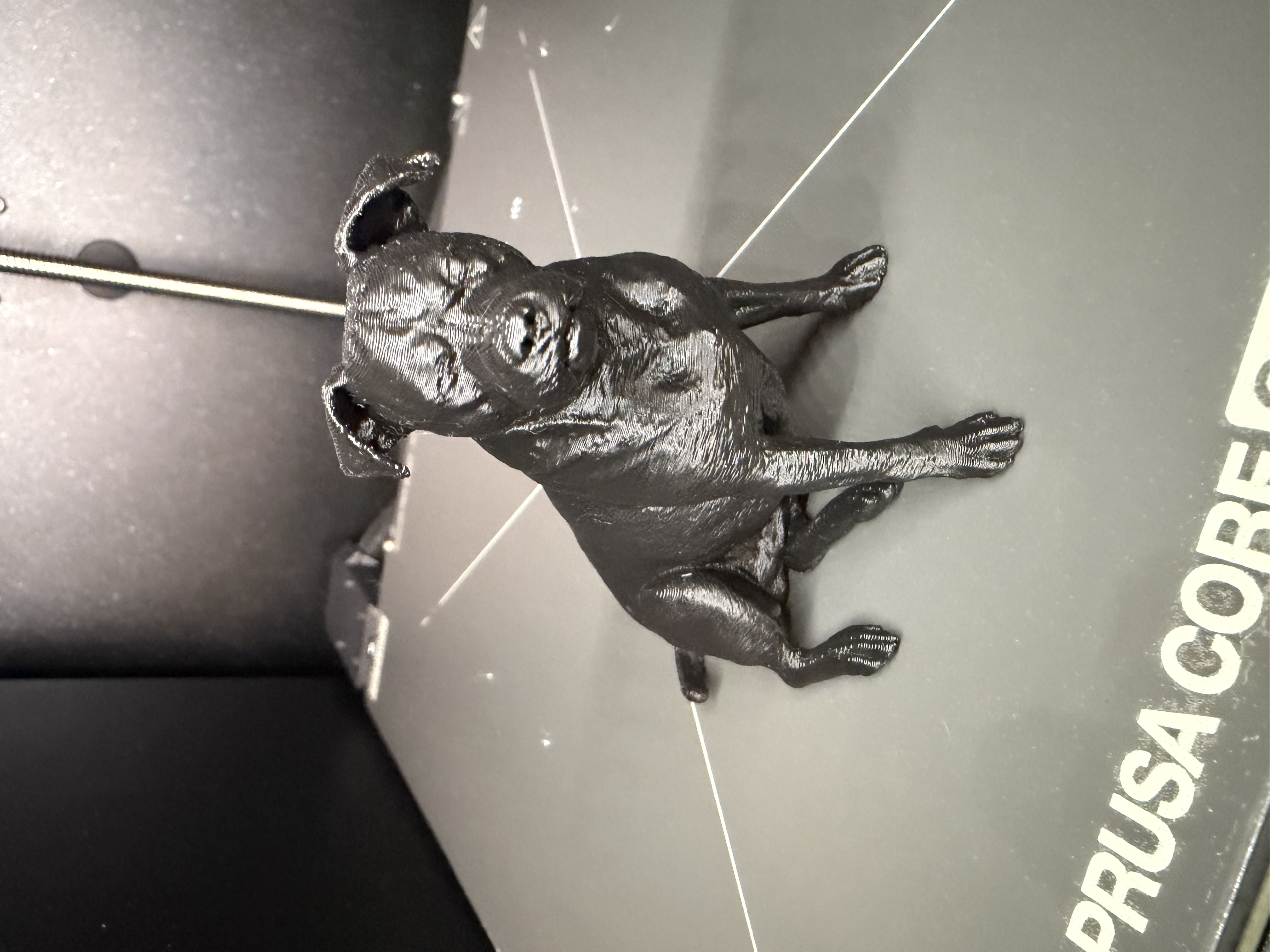 Detailed Dog Sculpture
