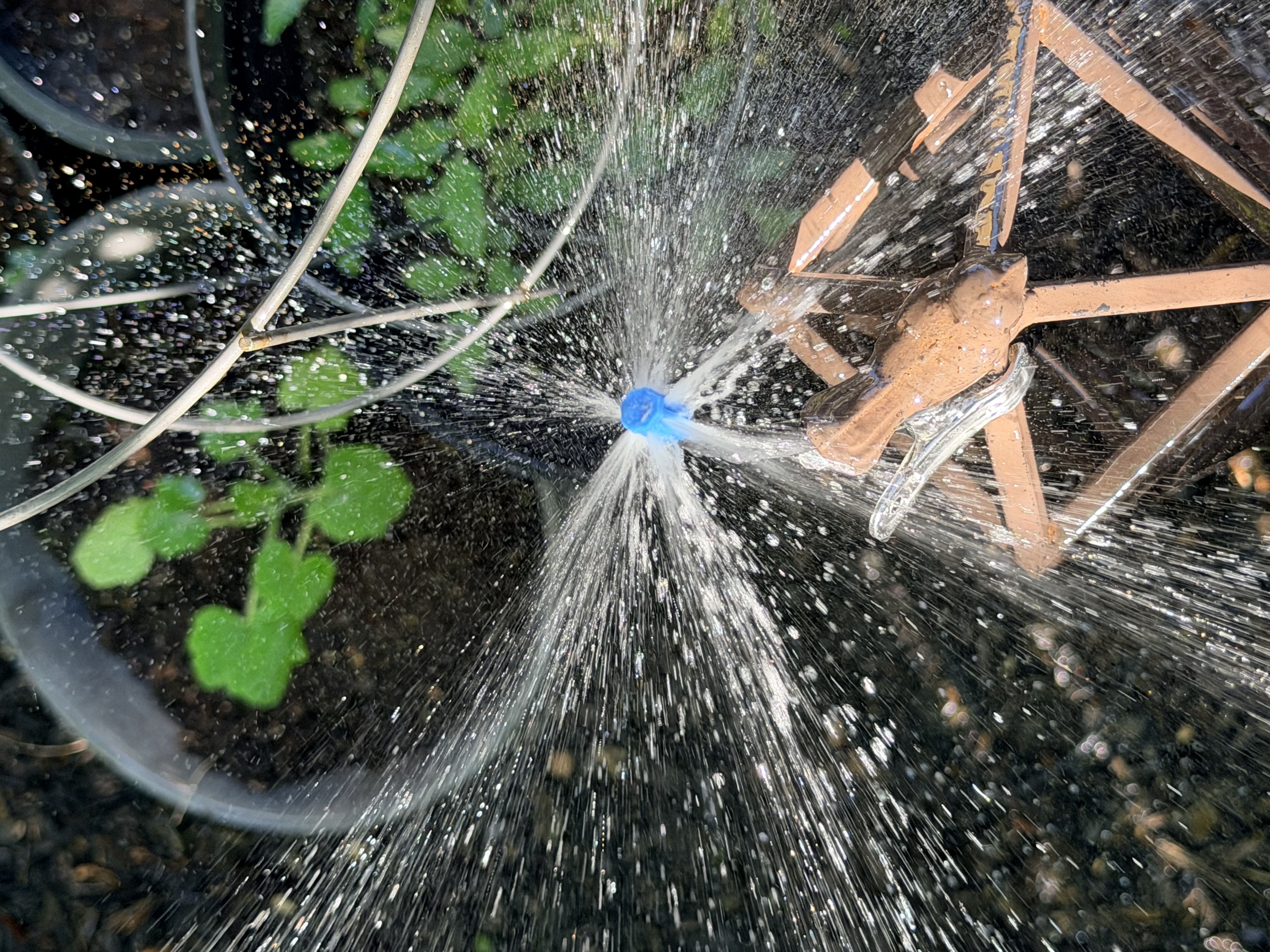 The mini-Richard sprinkler head.
