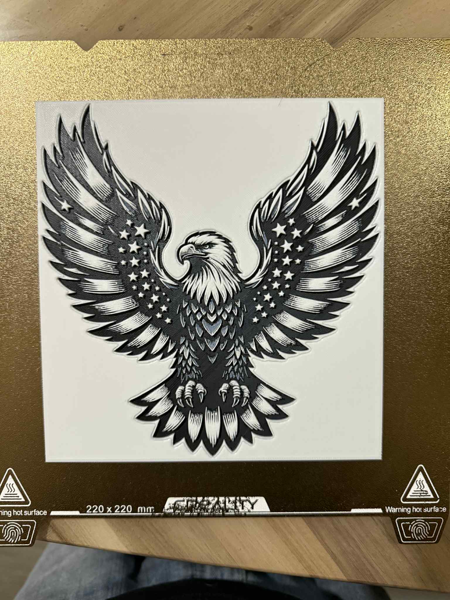 American Bald Eagle