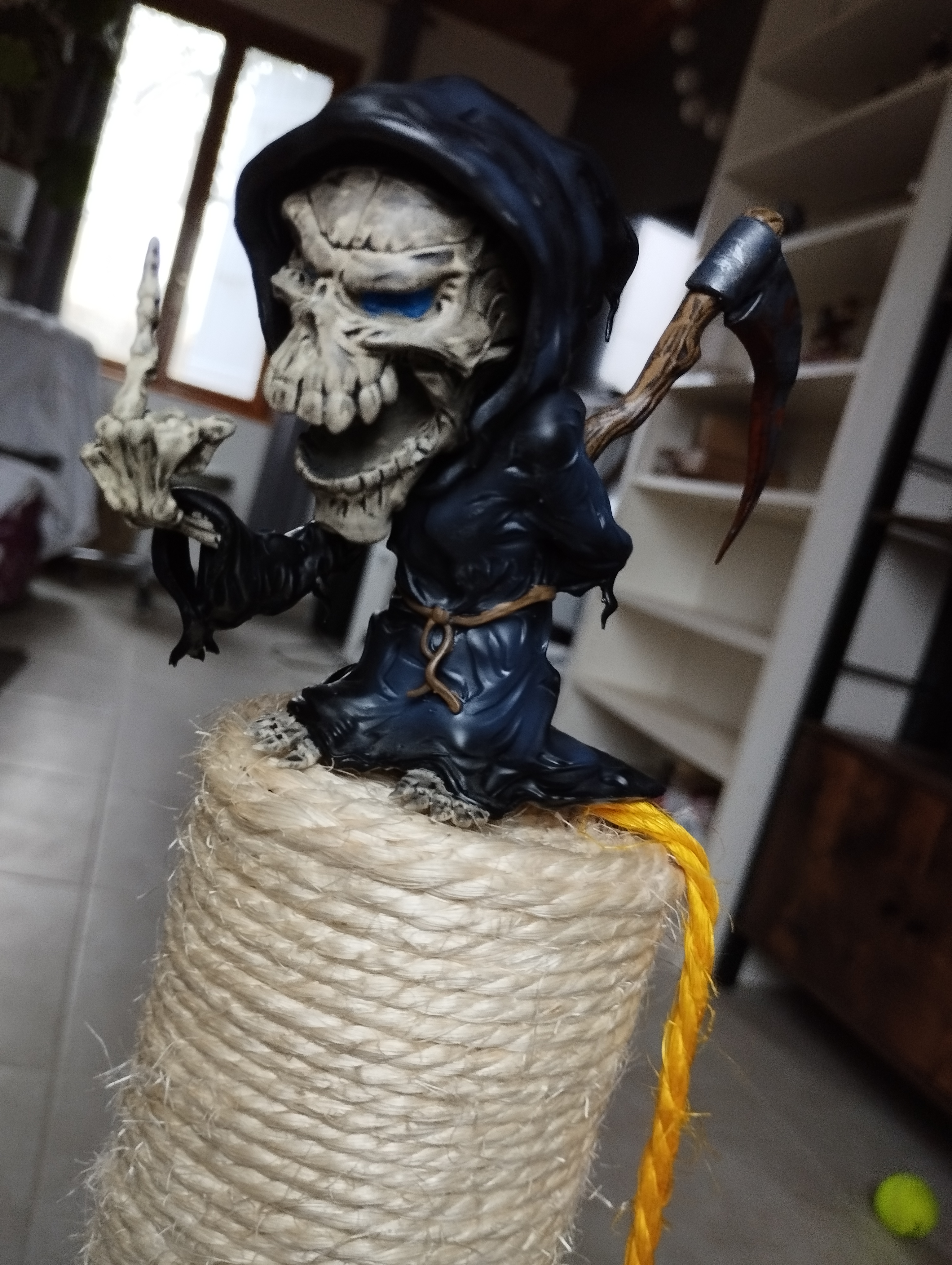 skull death — miniatura 6