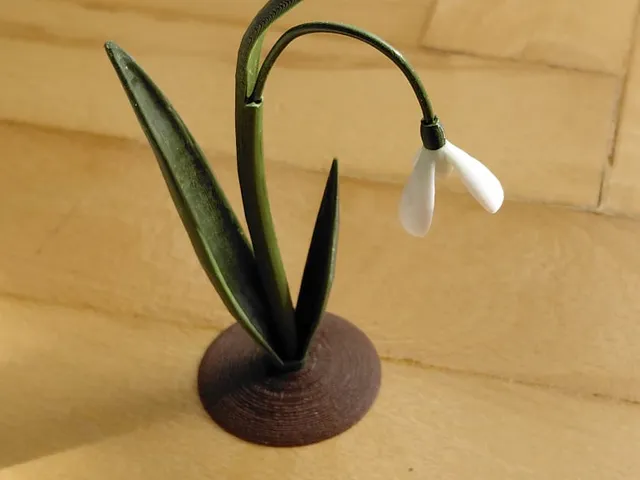 snowdrop