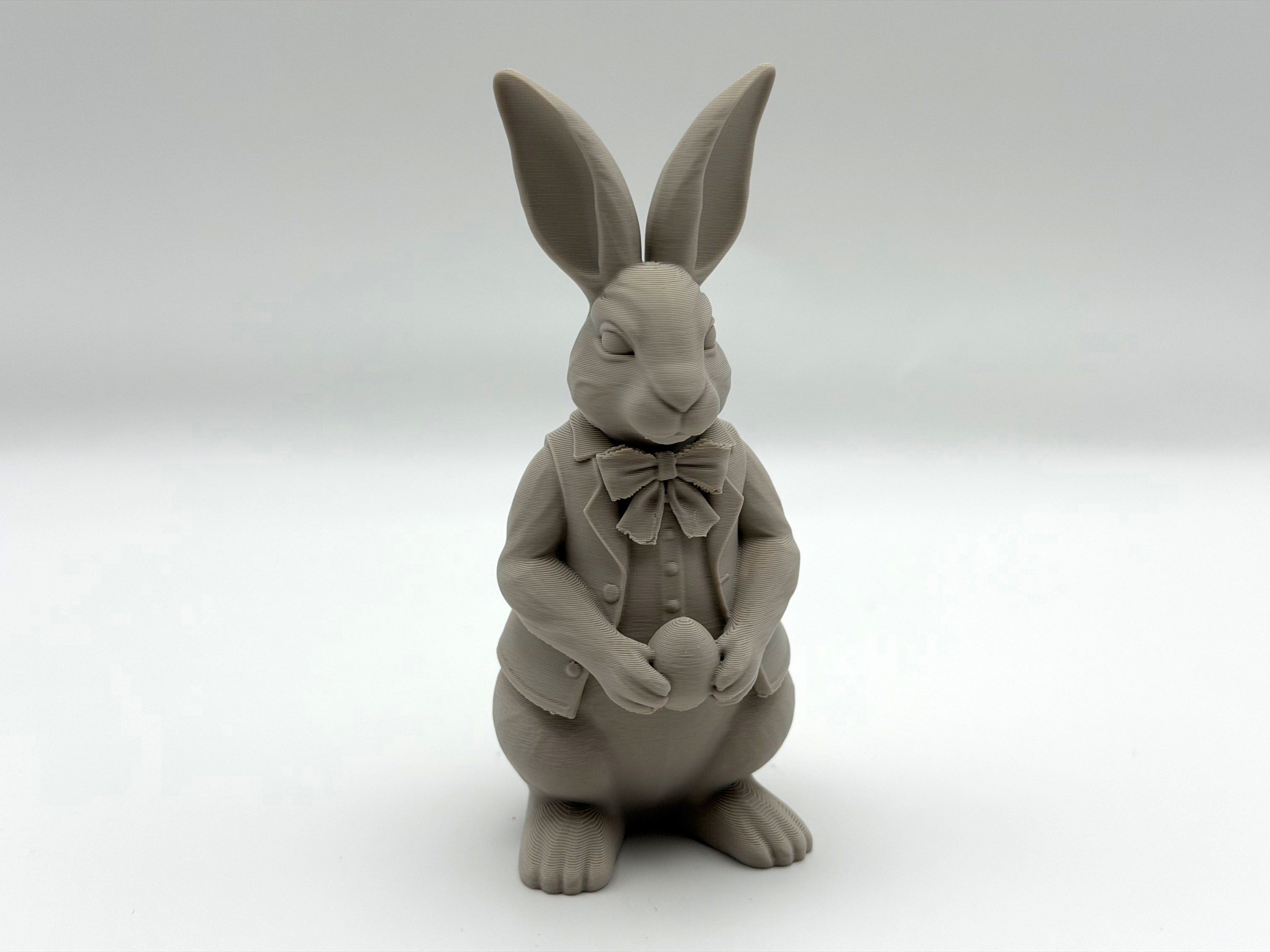 Dressed Easter Bunny