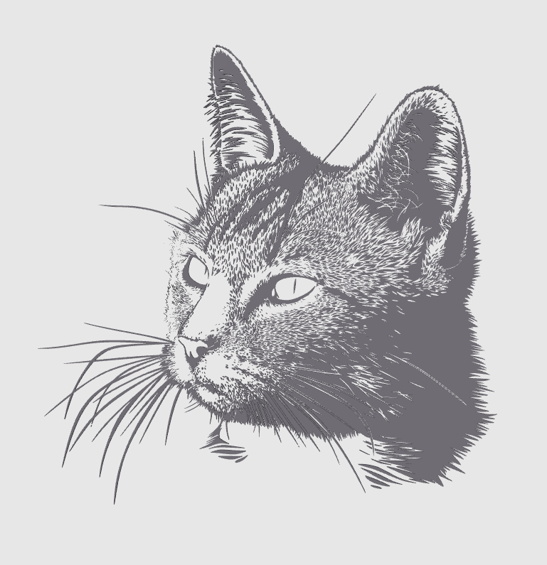 wall art cat