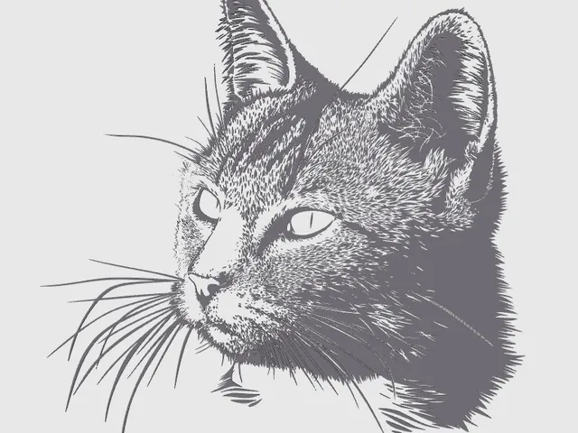 wall art cat