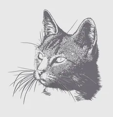 wall art cat