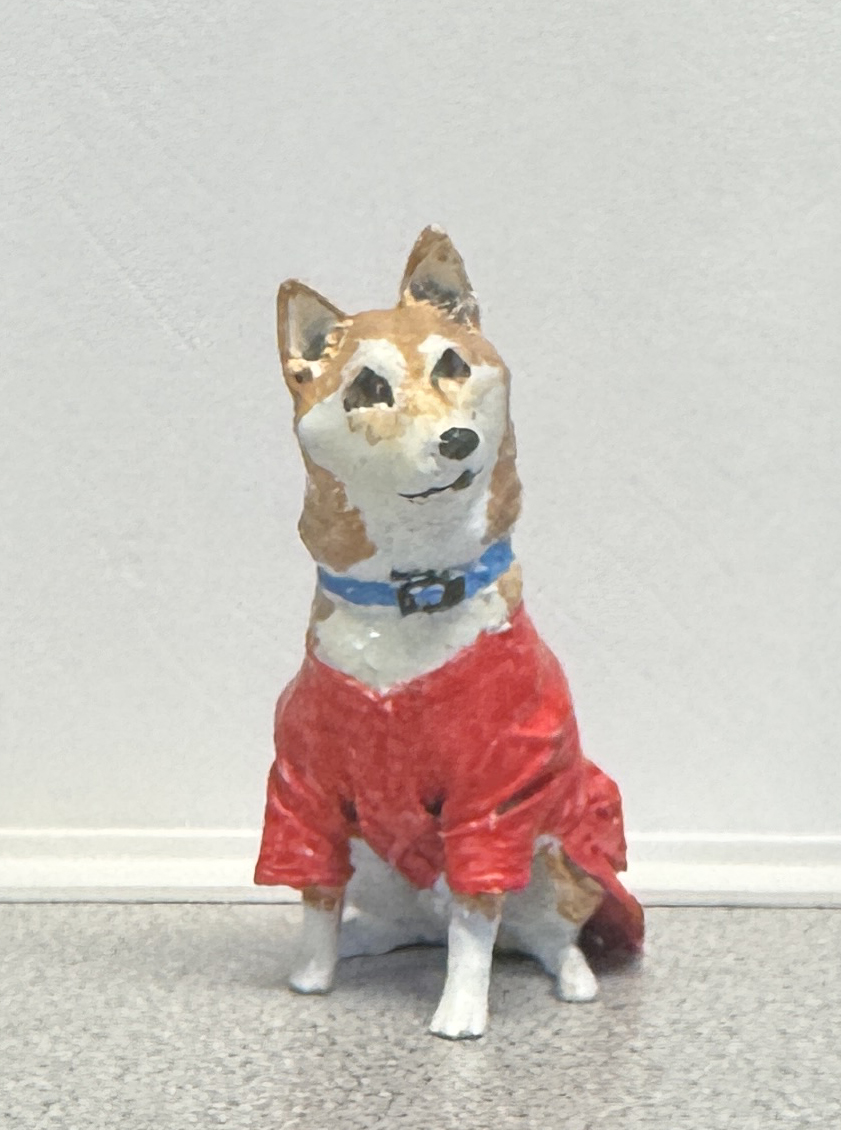 Shiba inu wearing a coat