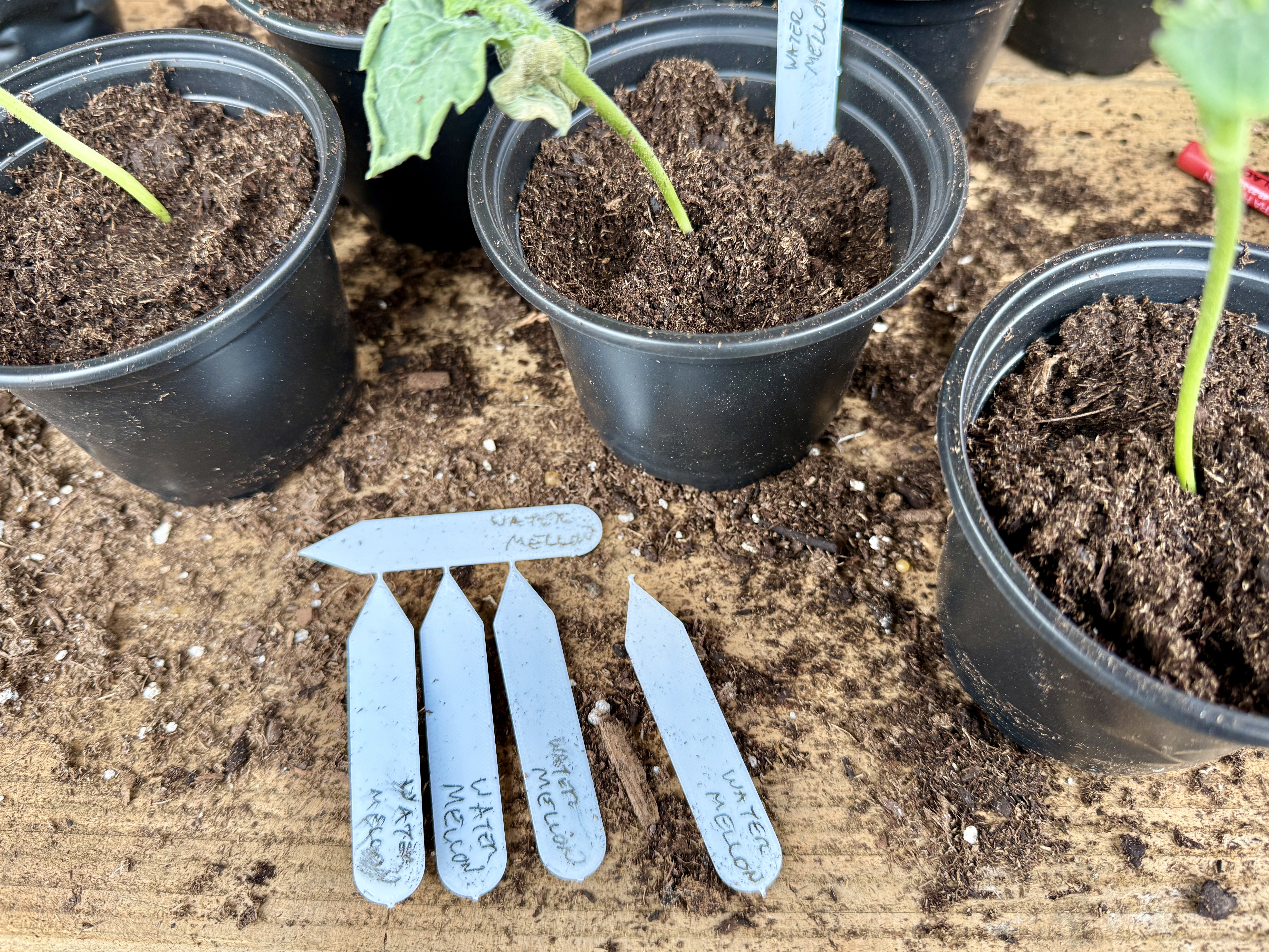 Quick print garden name tag stakes