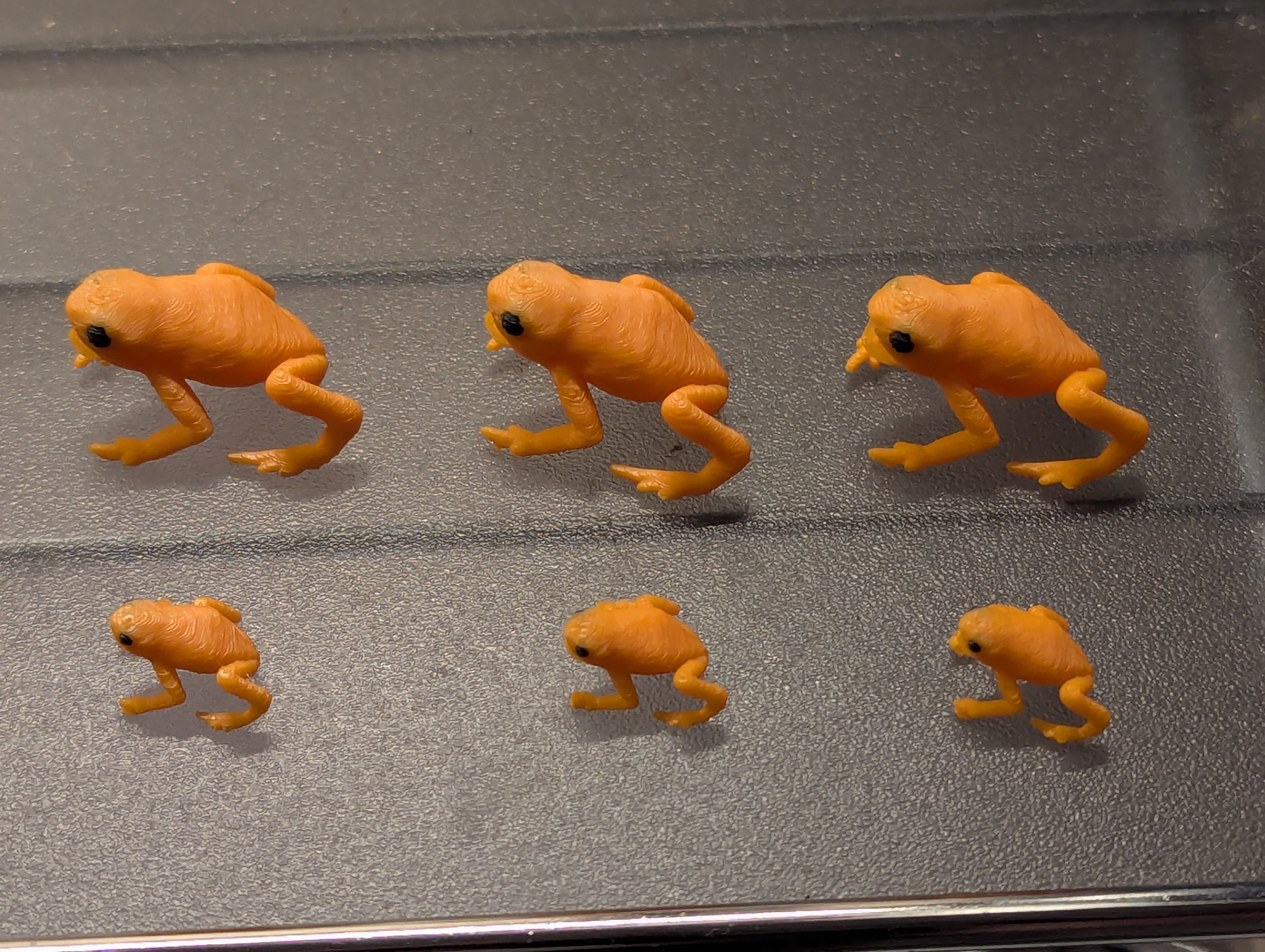 Miniatura 2 do modelo 3D Pumpkin Toadlet (small, screaming)