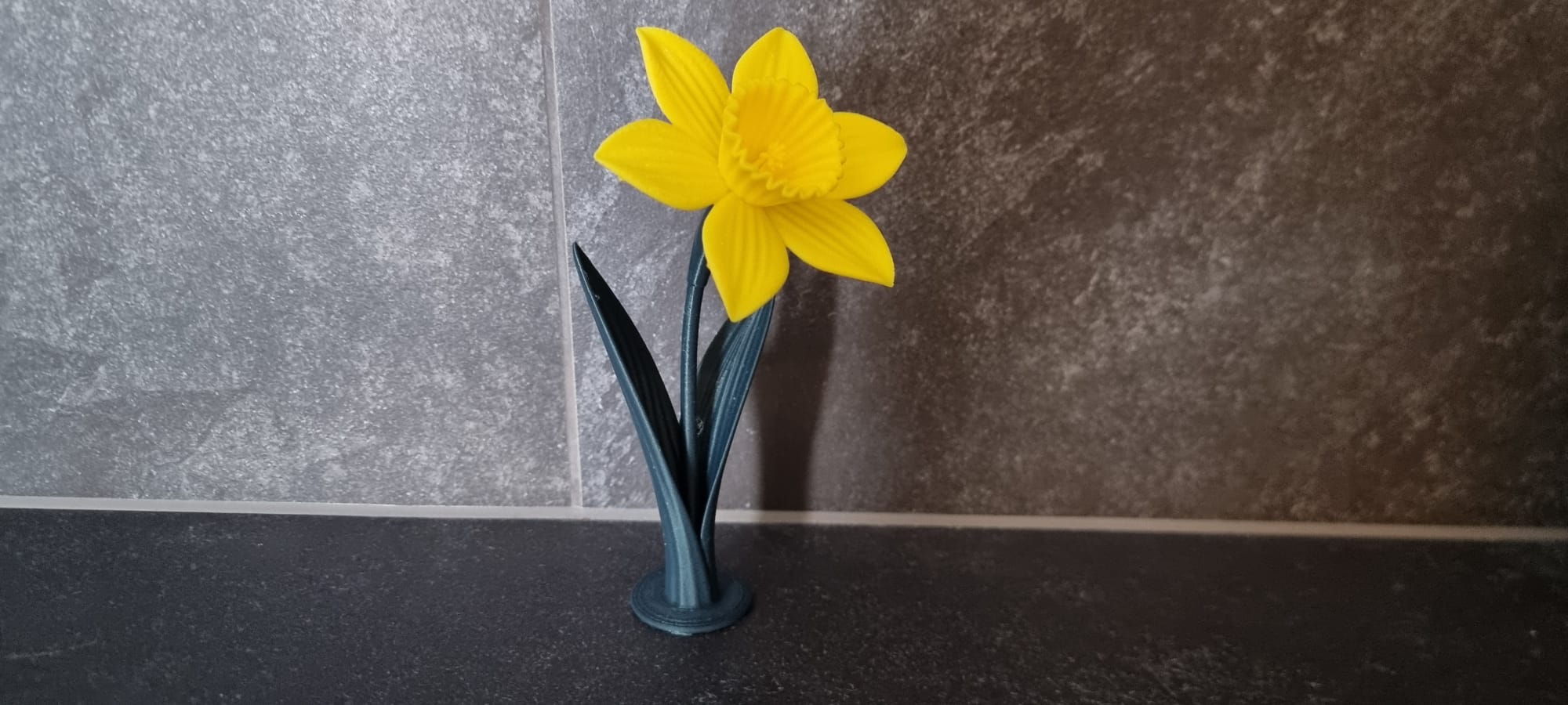 Miniatura 5 do modelo 3D Daffodil