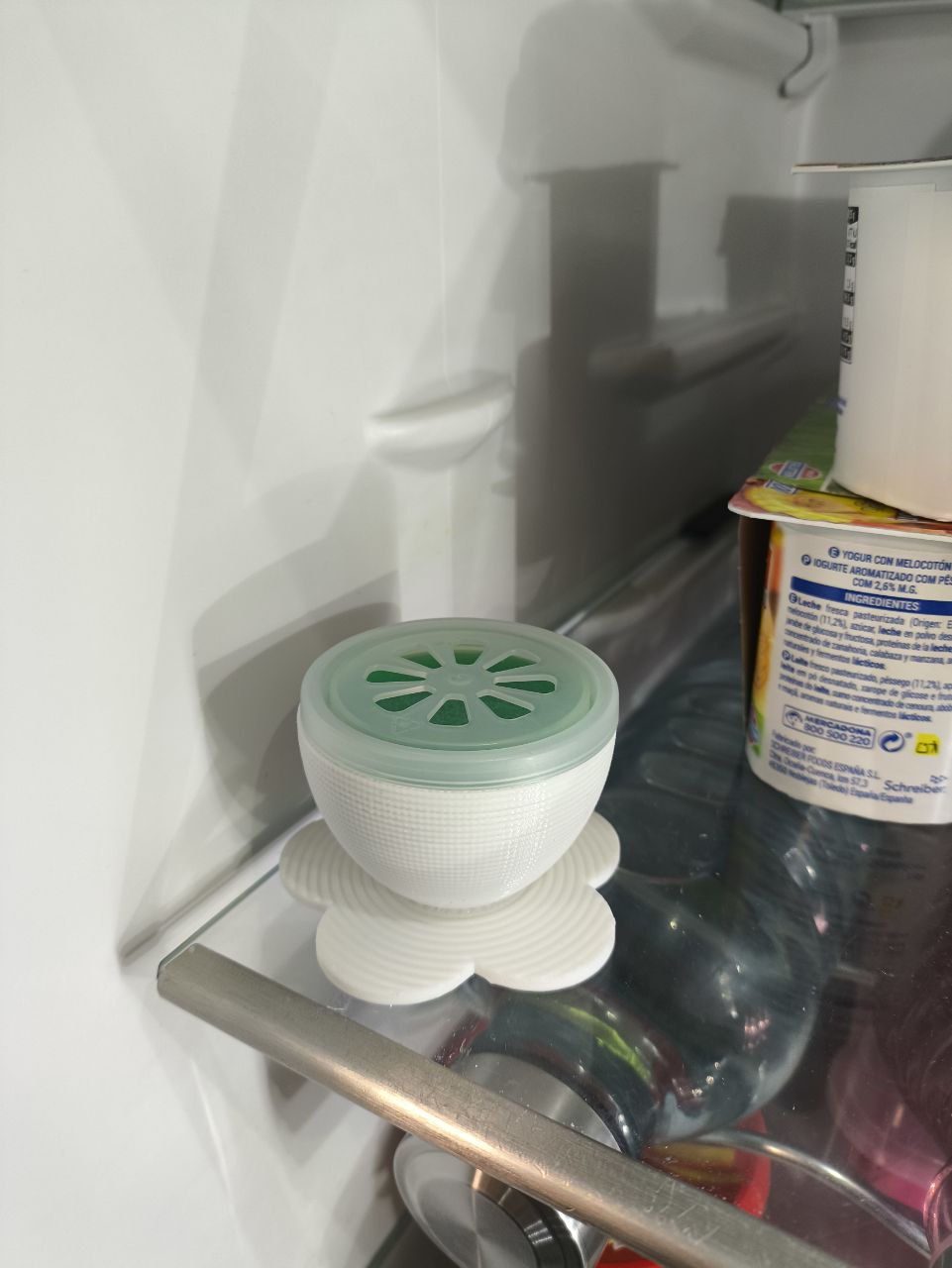 Absorbs Refrigerator Odors