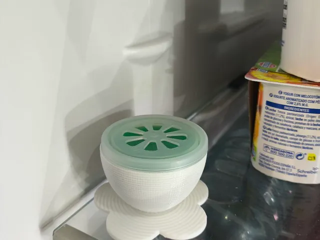 Absorbs Refrigerator Odors