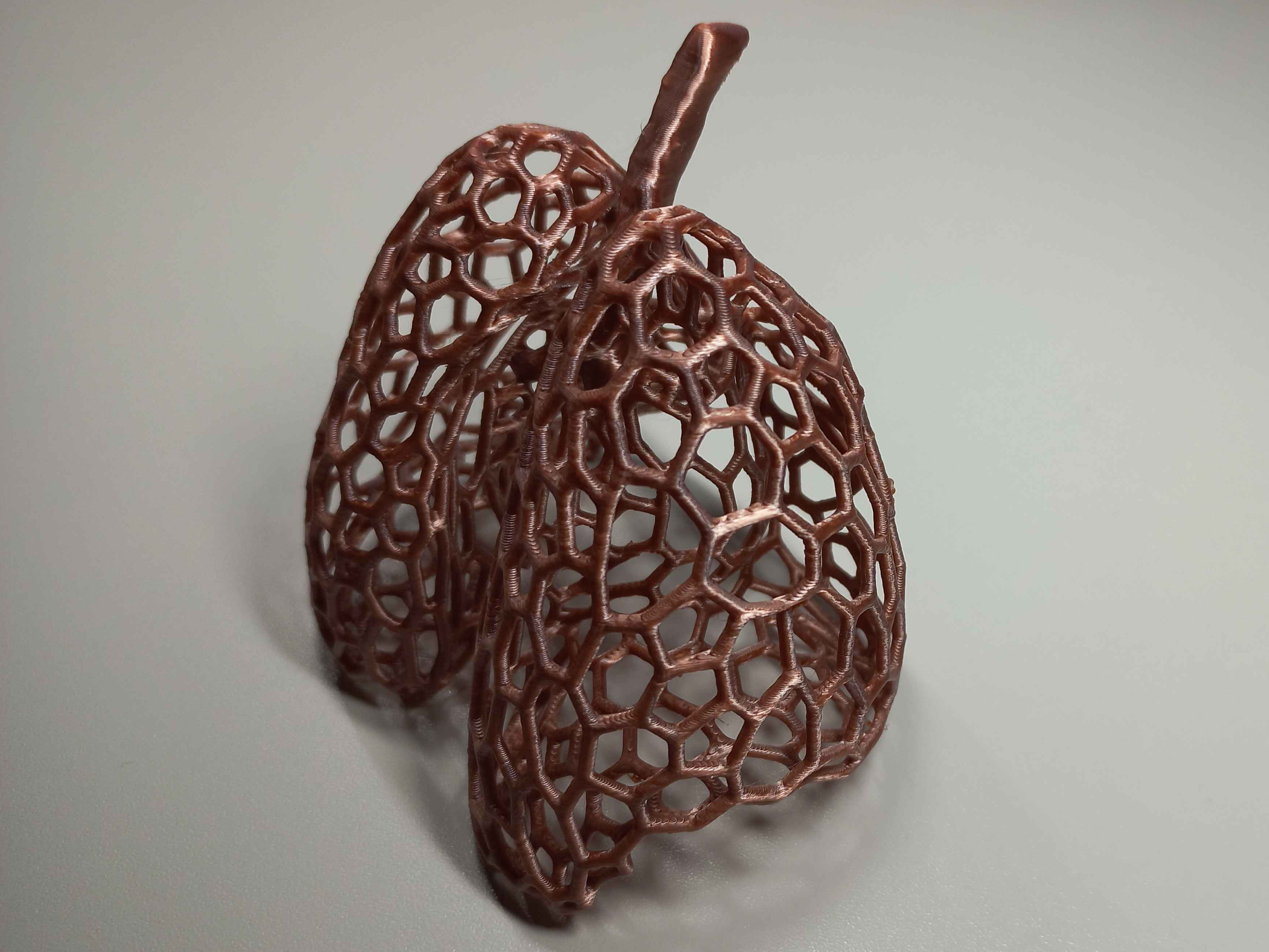 Miniatura 2 do modelo 3D Lungs Voronoi