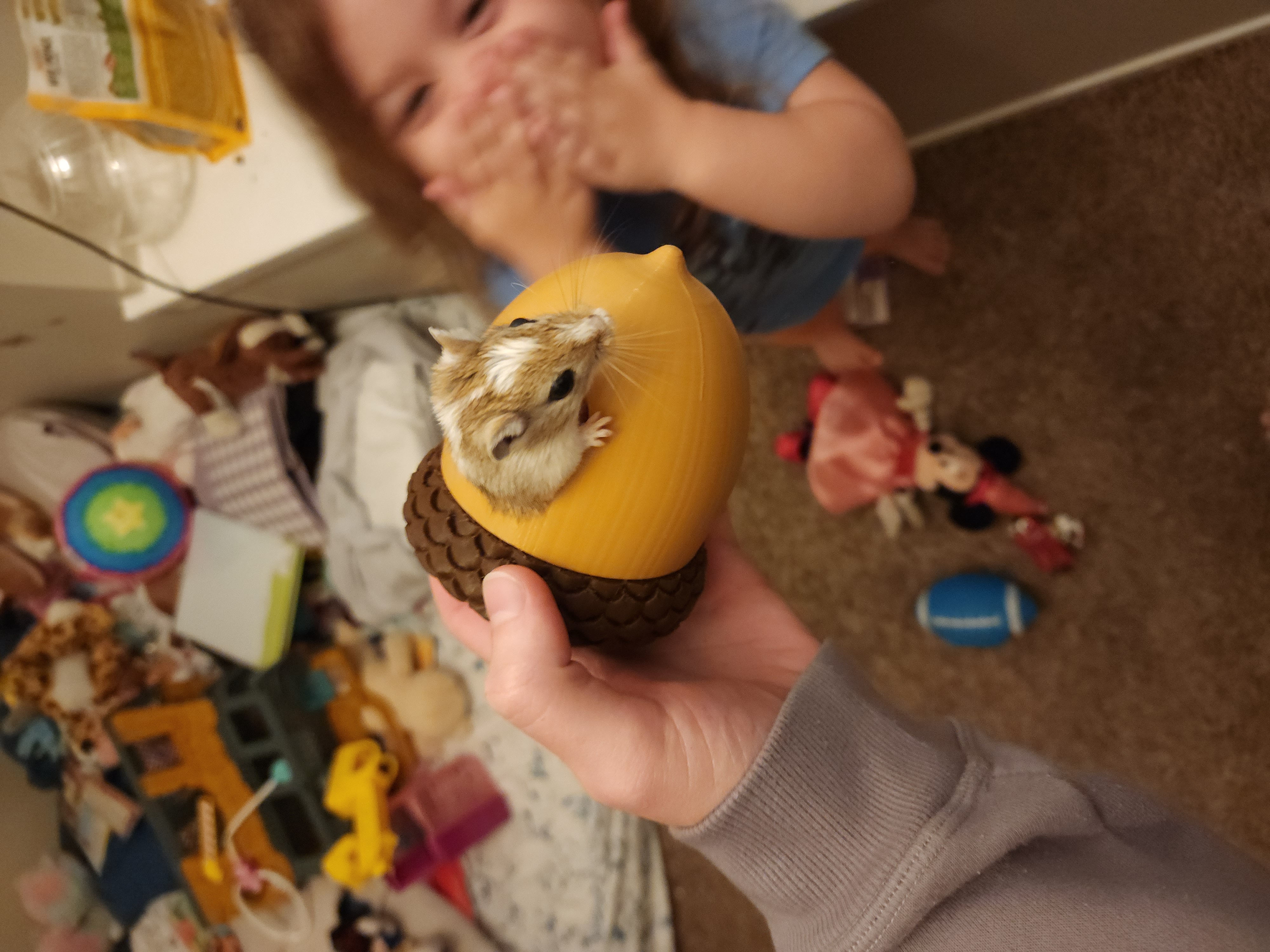 Acorn with Screw Top and Opening