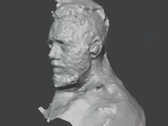 Test Bust