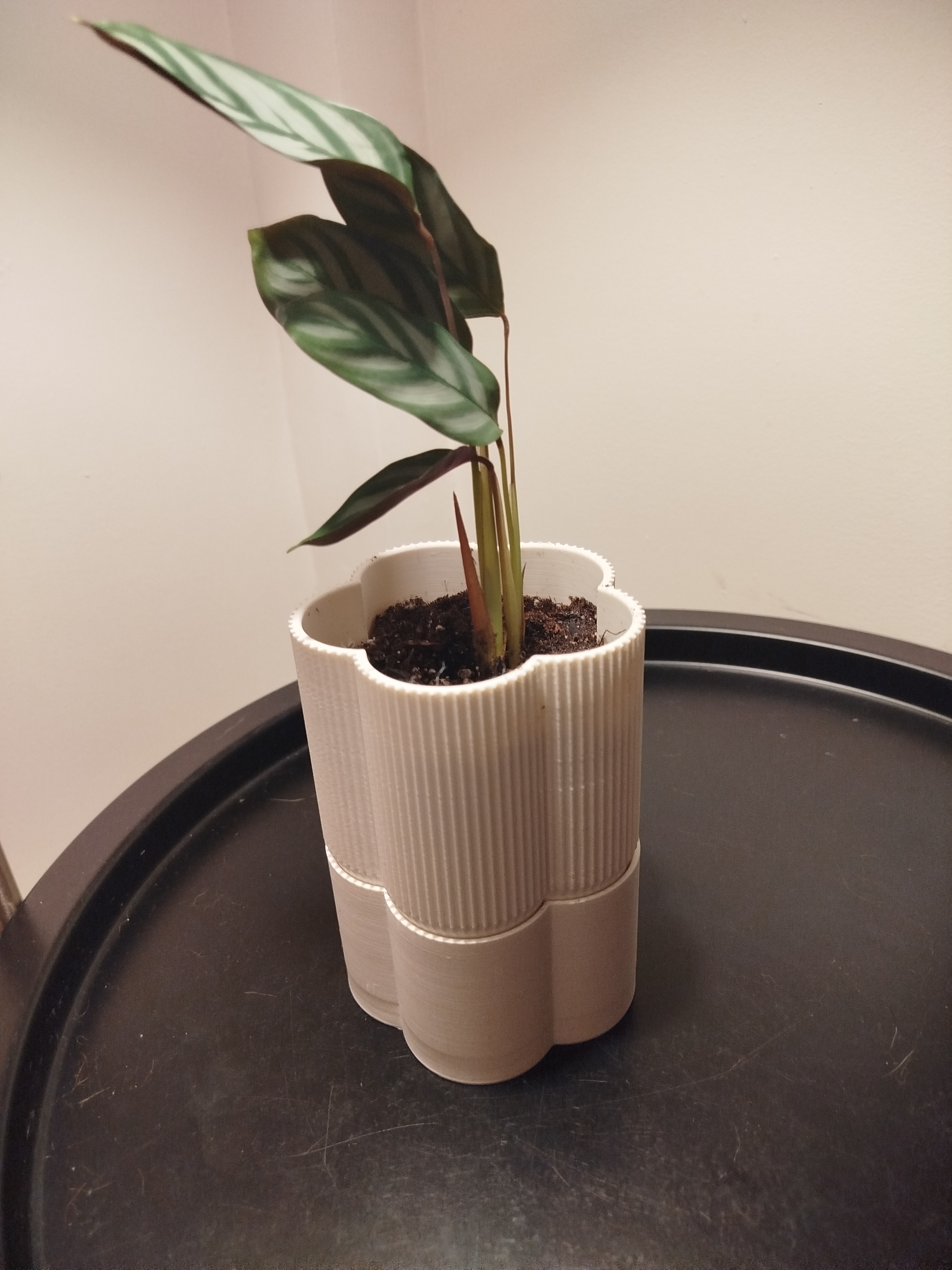 PENTAPOT self-watering planter with a wick system