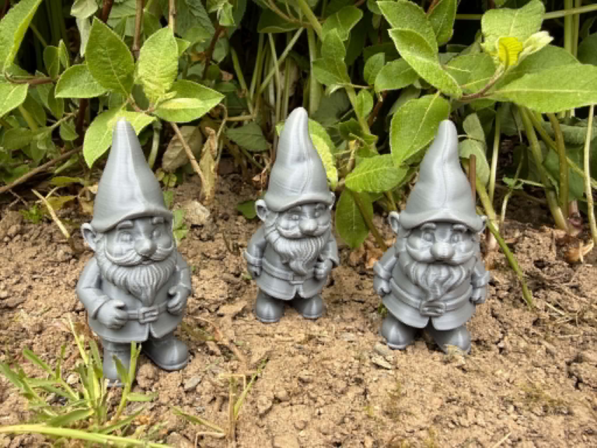 Garden gnome, halfling, dwarf