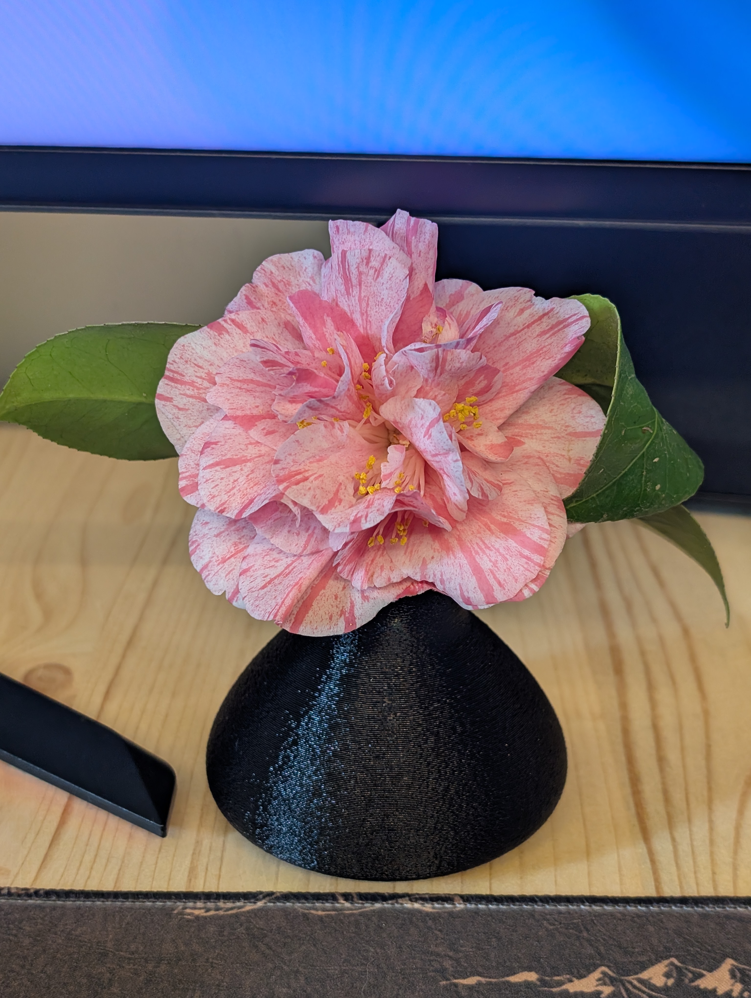 Miniatura 5 do modelo 3D Small Flower Vase