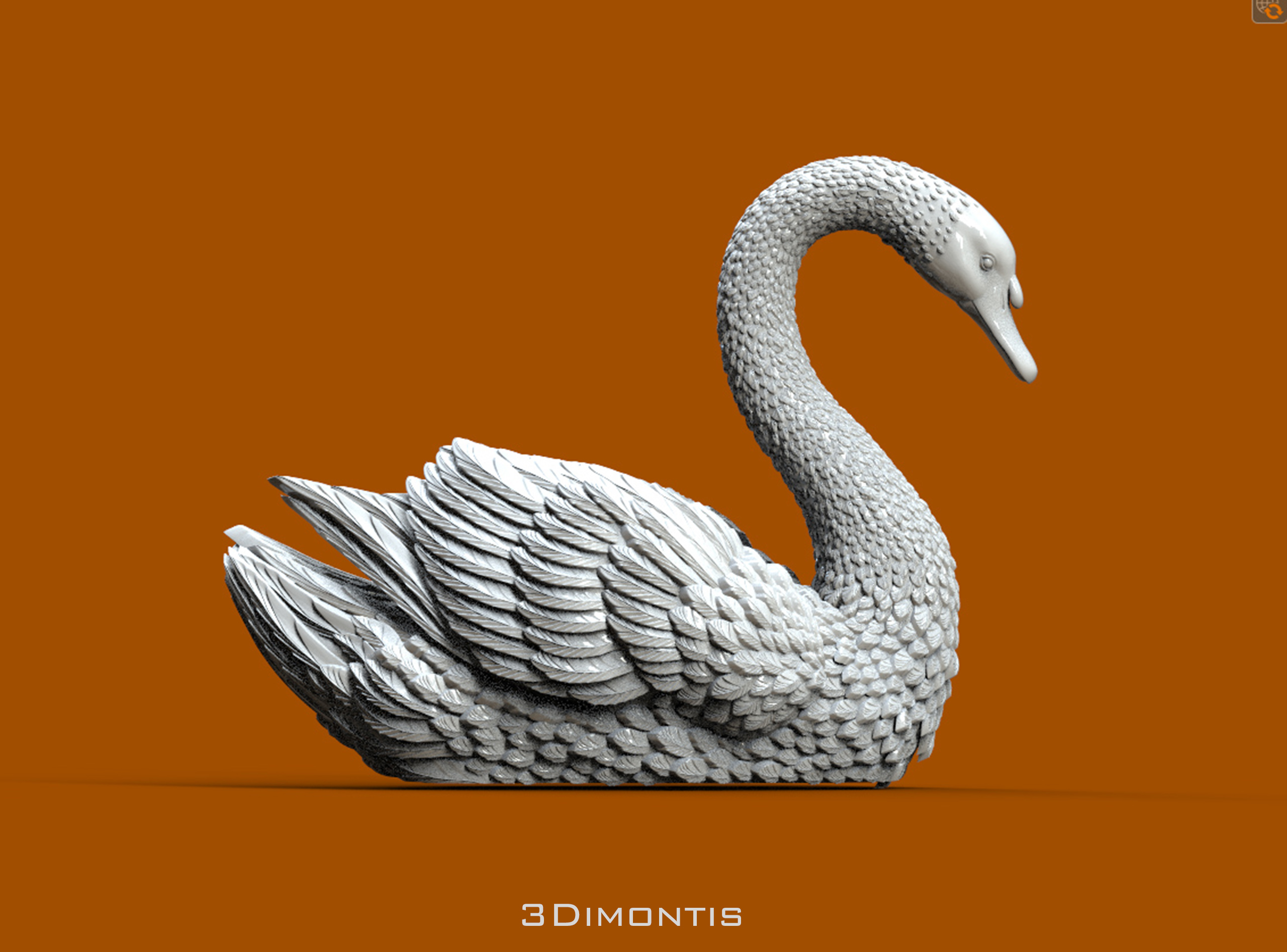 BIRD SWAN