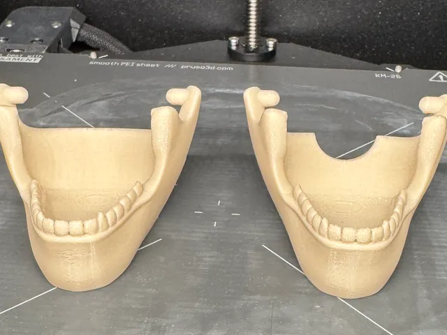 Jaw for Candy Skull Dispenser