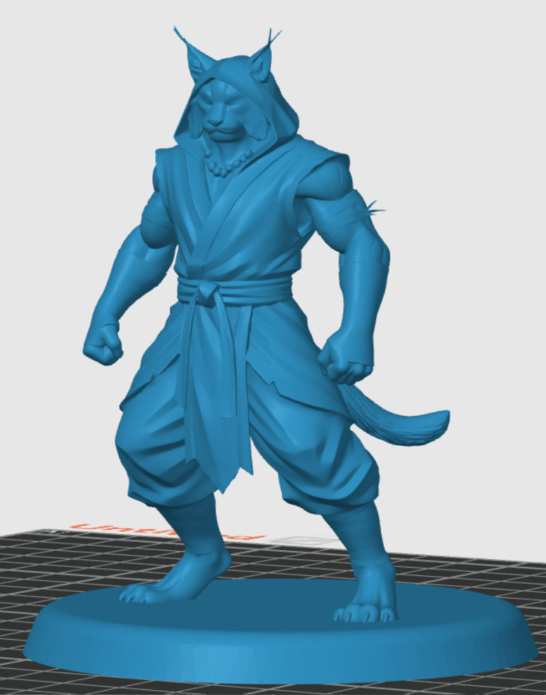 Tabaxi Monk — miniatura 4