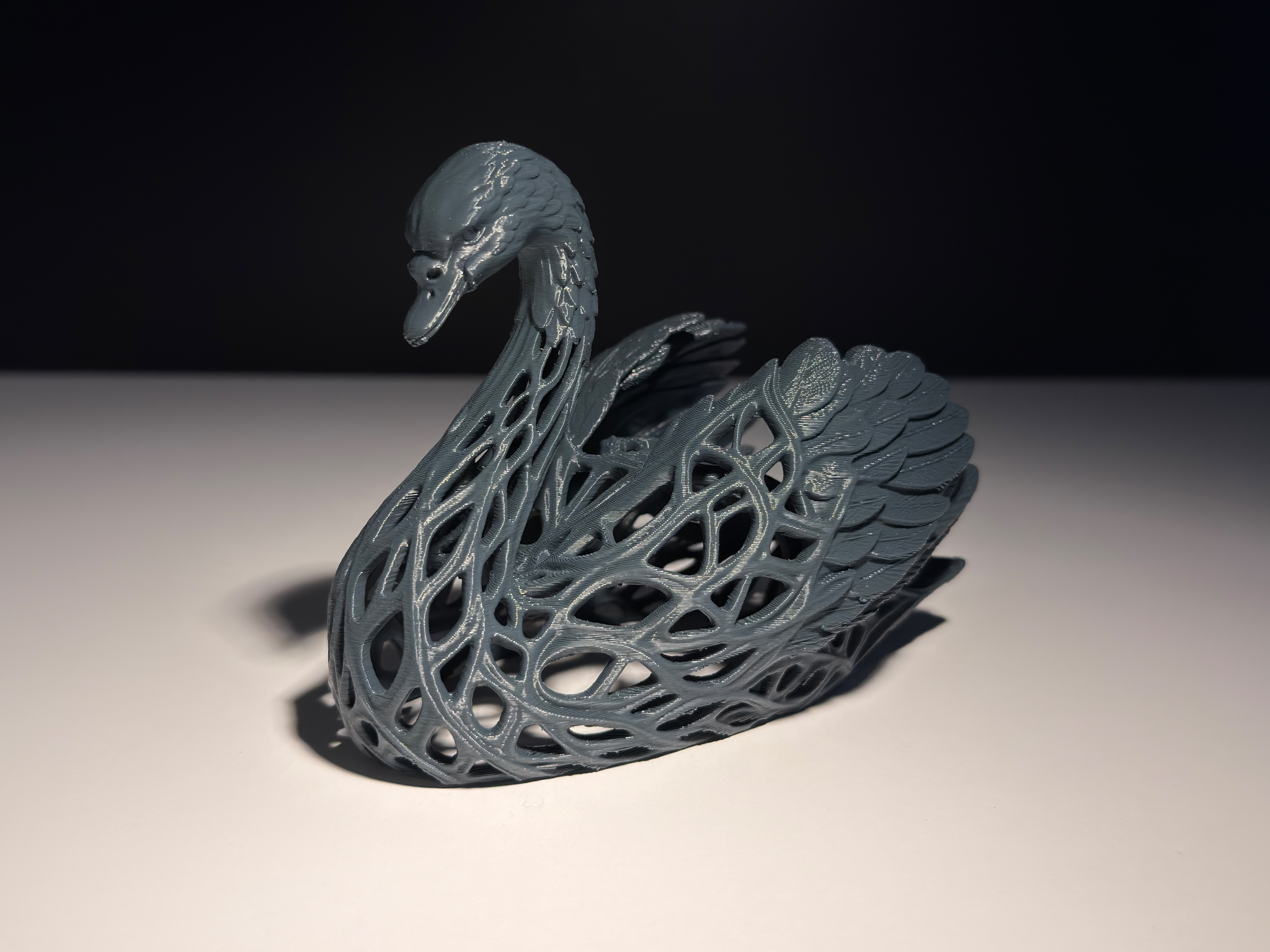 Swan