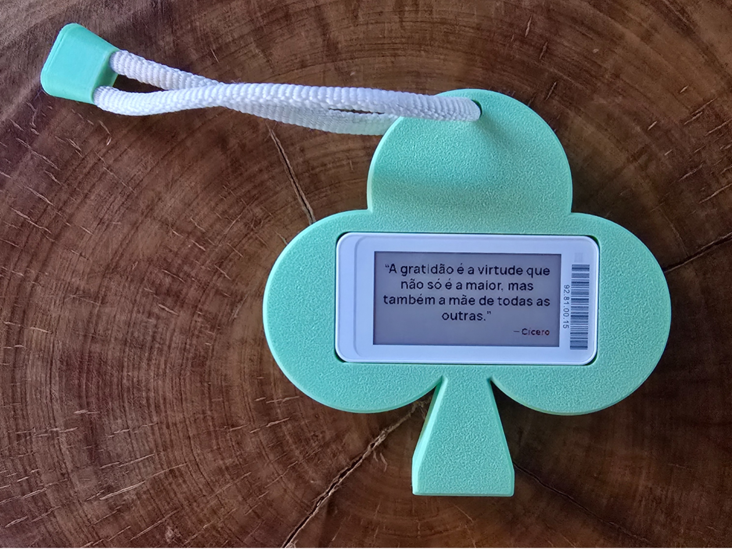 Club e-ink tag case – fridge magnet, keychain, wall & tape mount (Pingente)