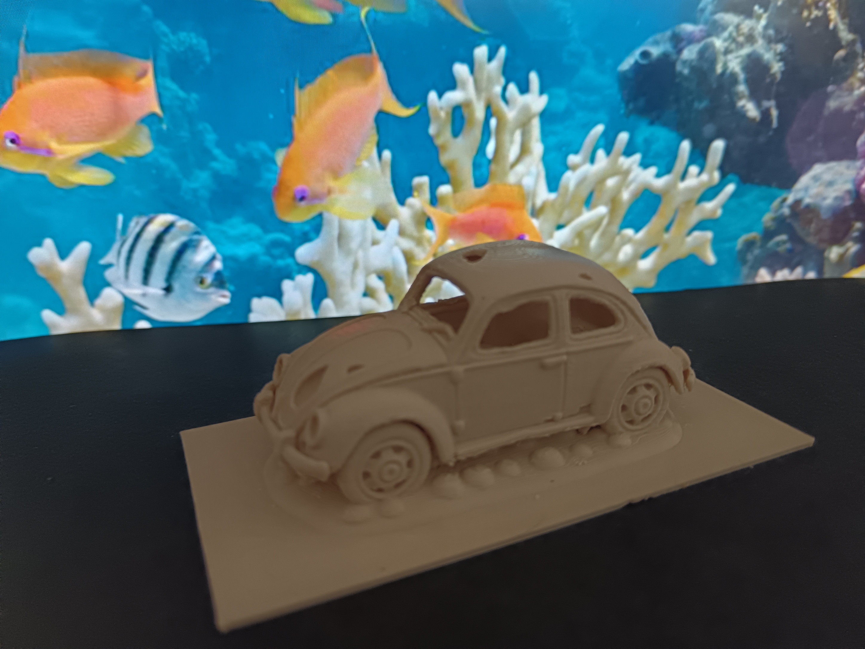 AQUARIUM - car wreck