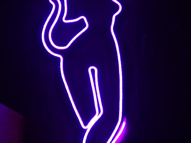Cat-girl neon sign