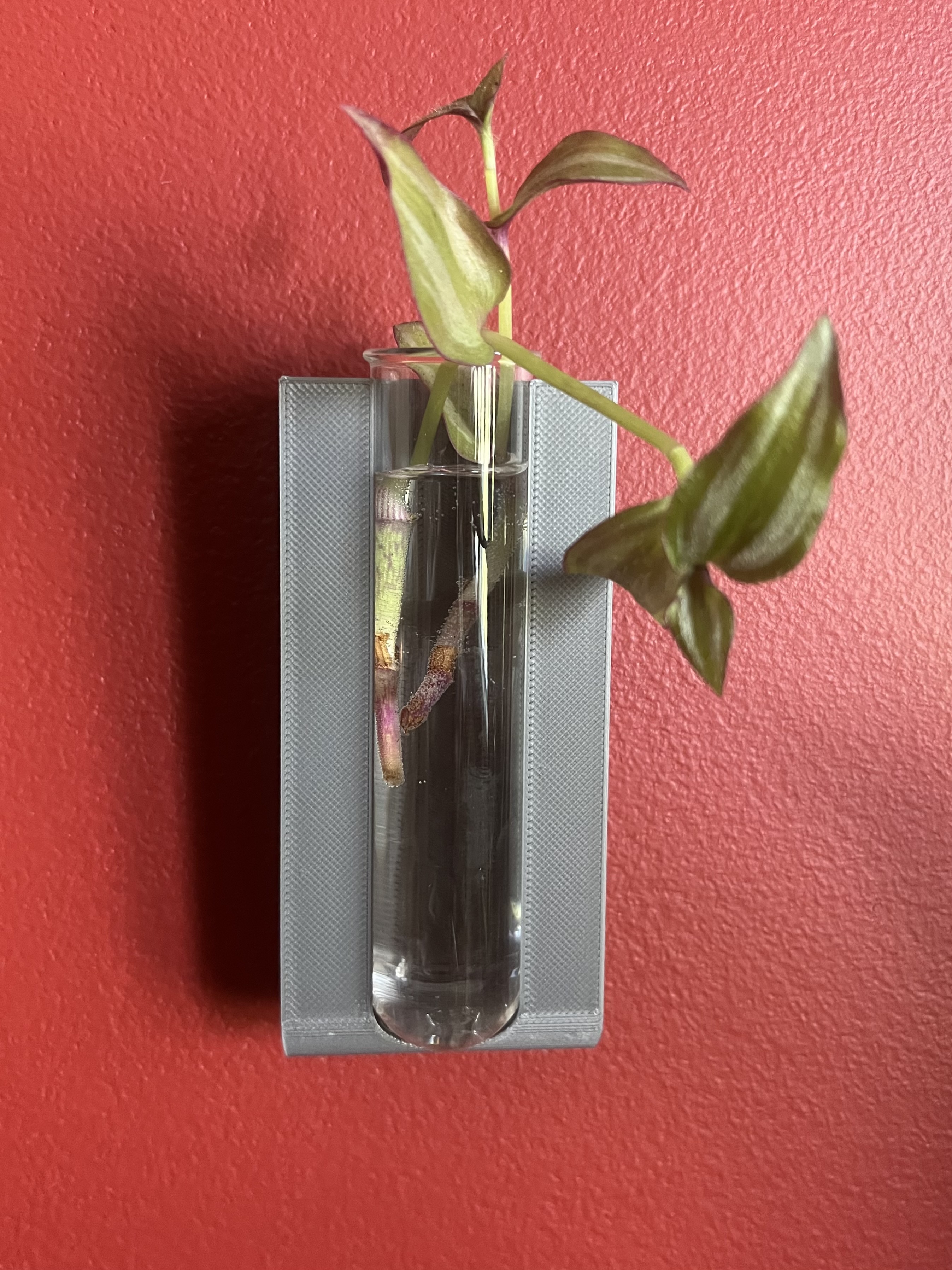 Wall-Mounted Propagation Beaker Hanger