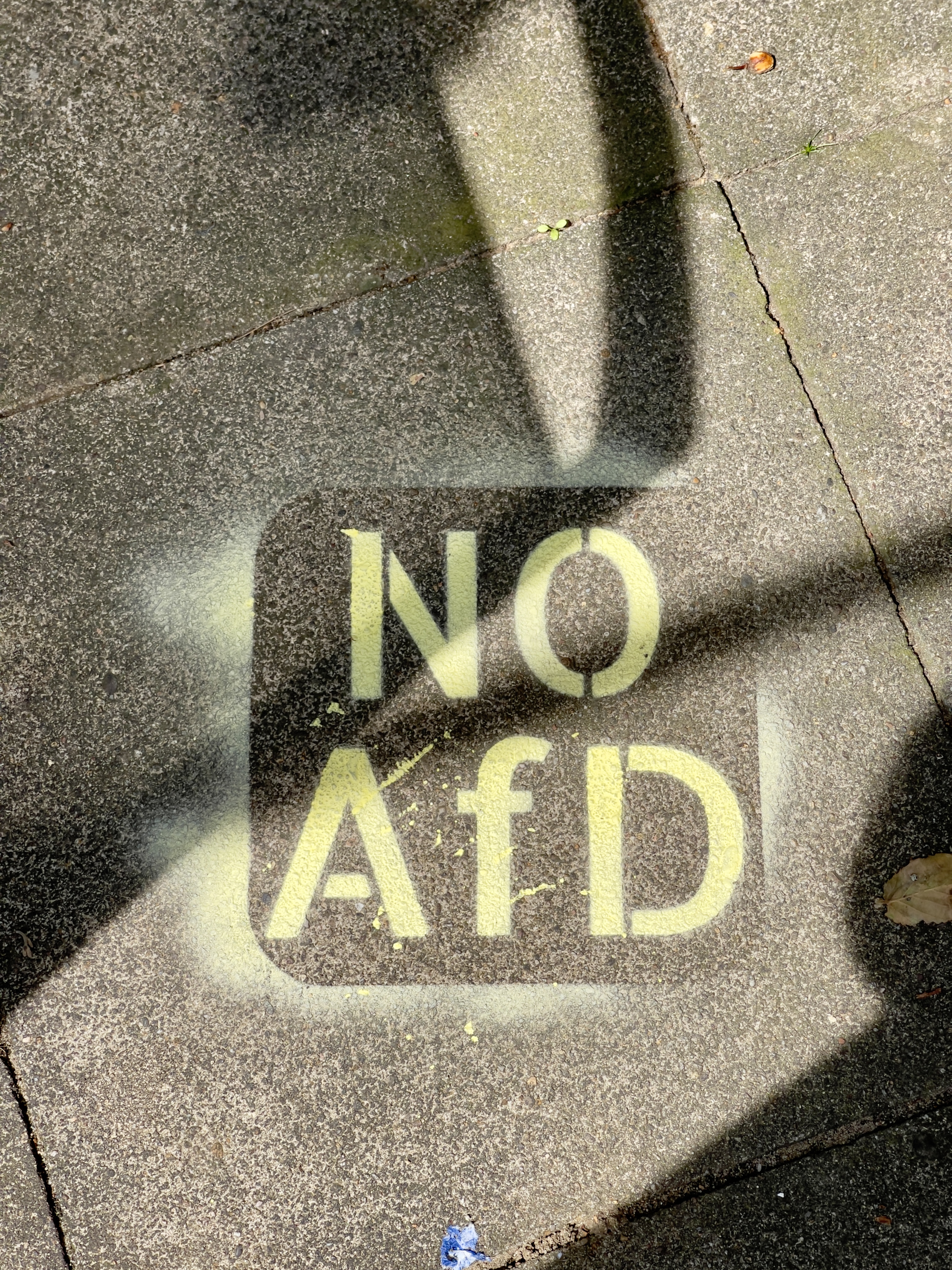 No-AfD-Schablone — miniatura 2
