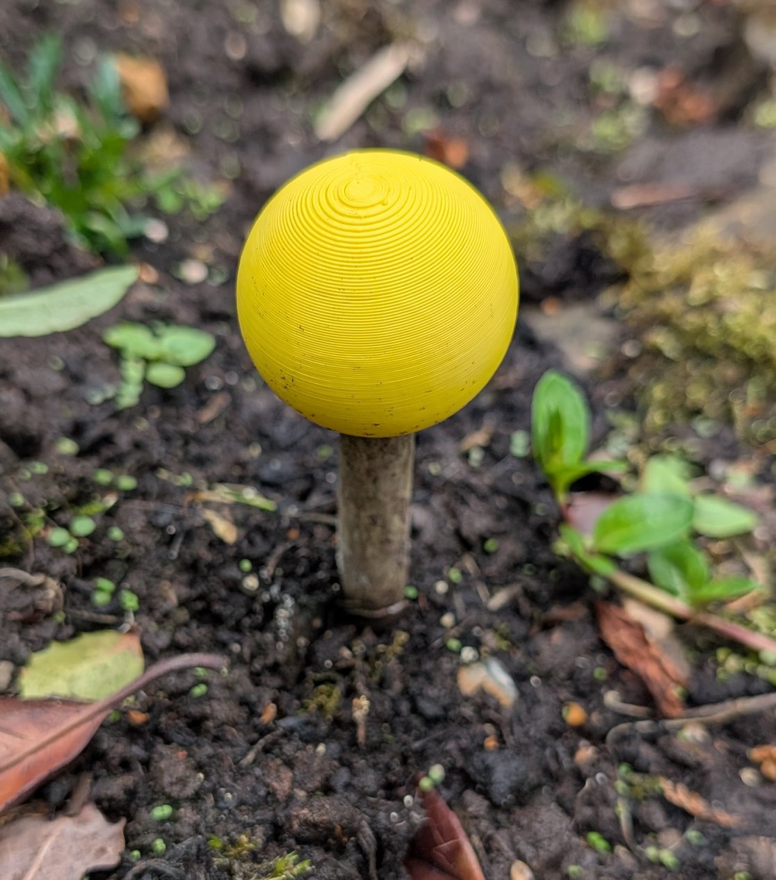 Simple Golfball-Sized Garden Cane/Stick/Rod Topper - Parametric For Cane Diameter