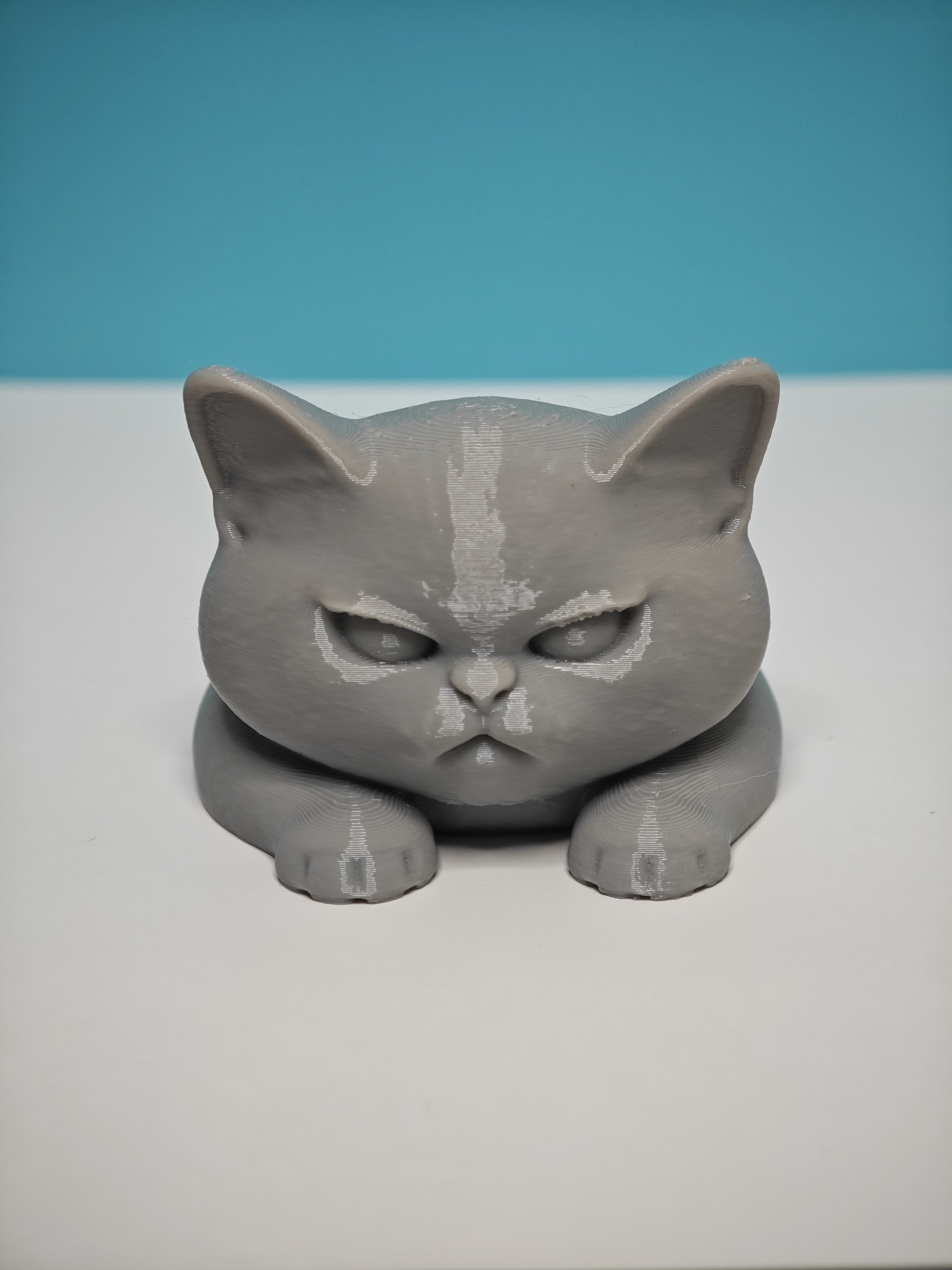 Miniatura 3 do modelo 3D Grumpy cat loaf