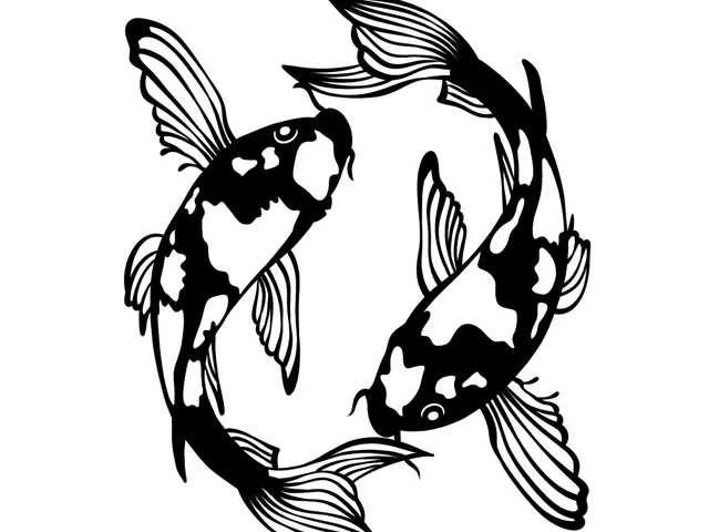 koi fish