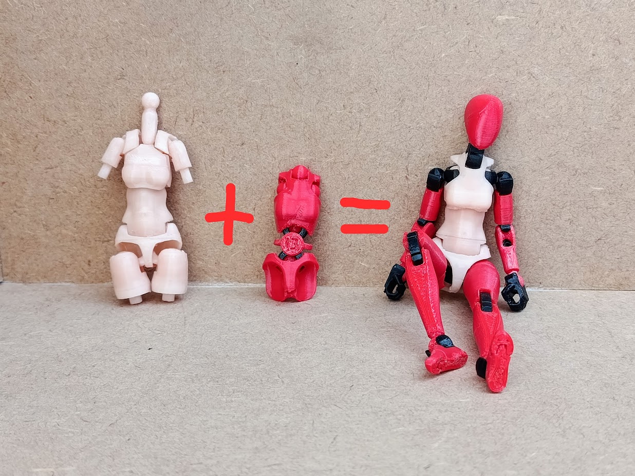 Frame Arms style torso for Carbon 13 Type F
